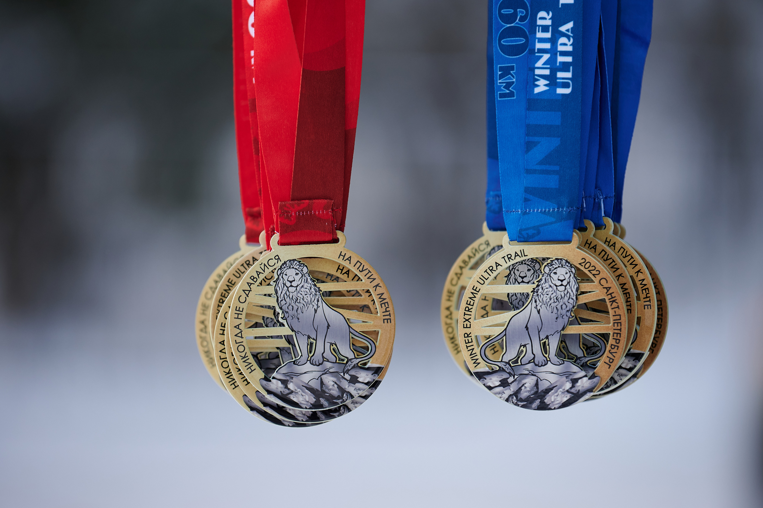 Фоторепортаж спортивных соревнований по бегу в Ленинградской области