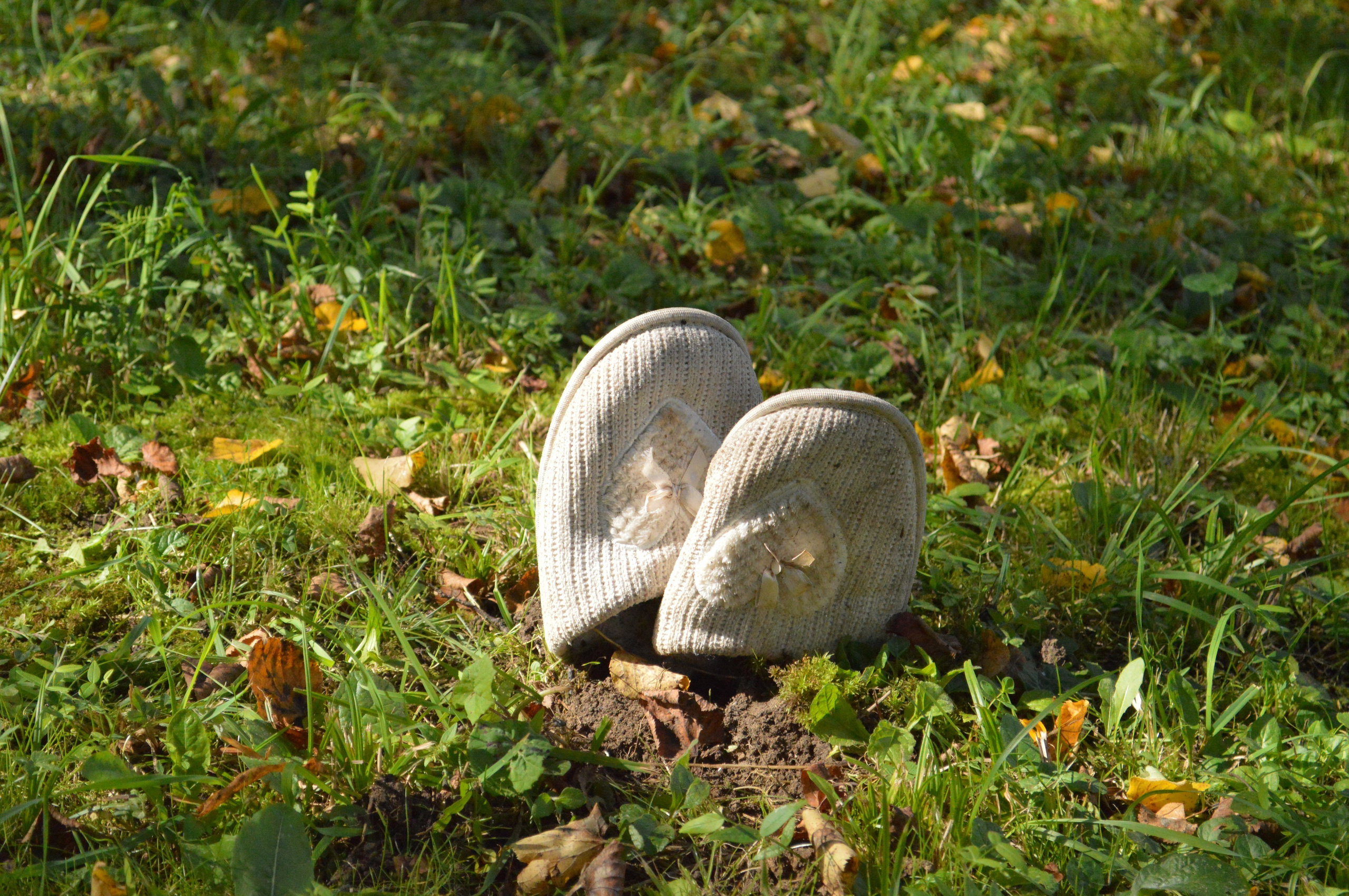Резиденция «Белые аллеи» Москва. Лилия Ким. Междисциплинарный художник
