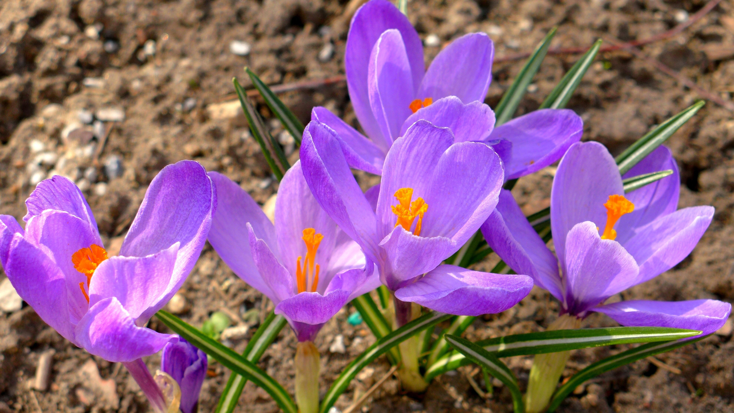 Апрельская съемка. Photo-gerz.ru