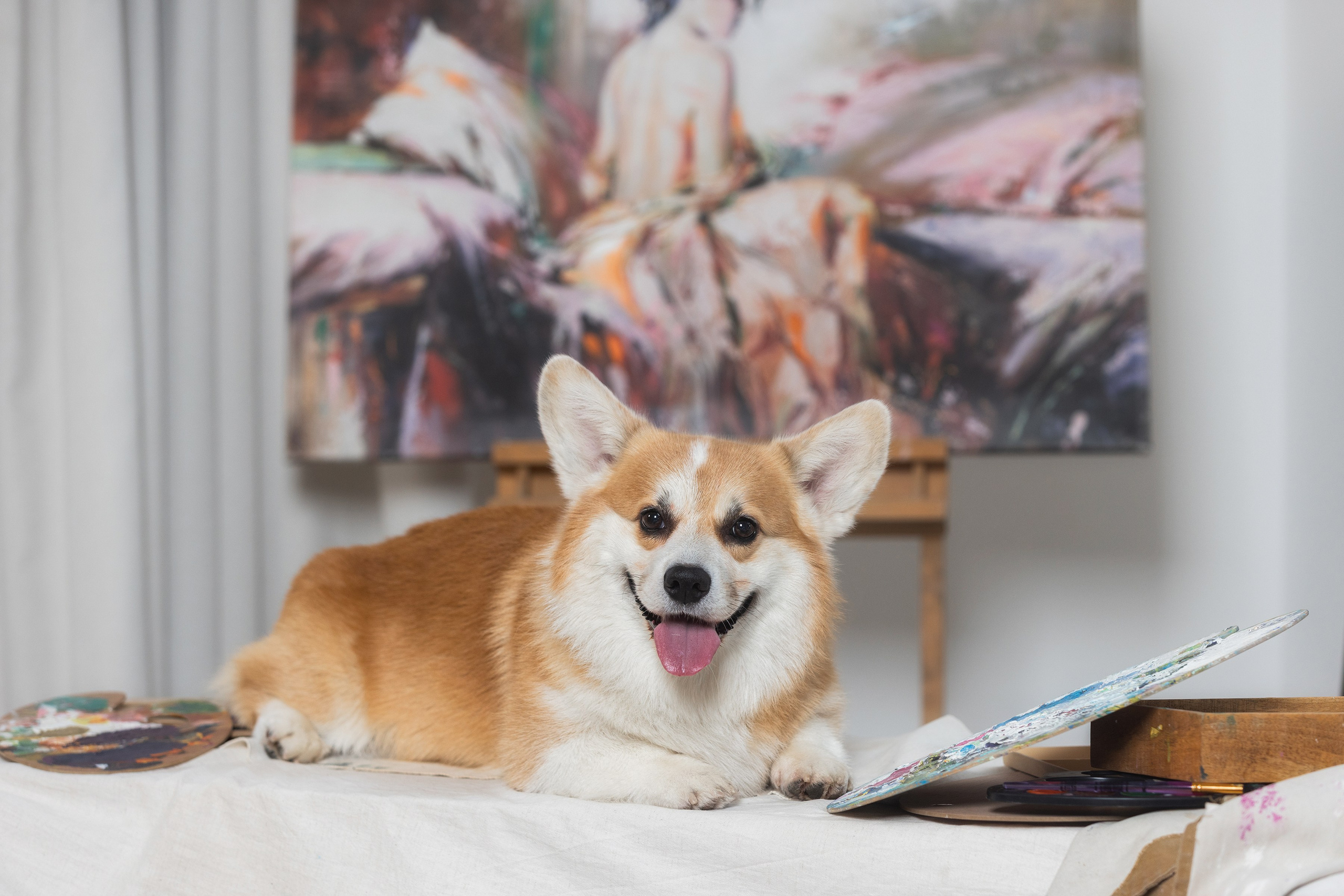 Фотограф Алена Звездина