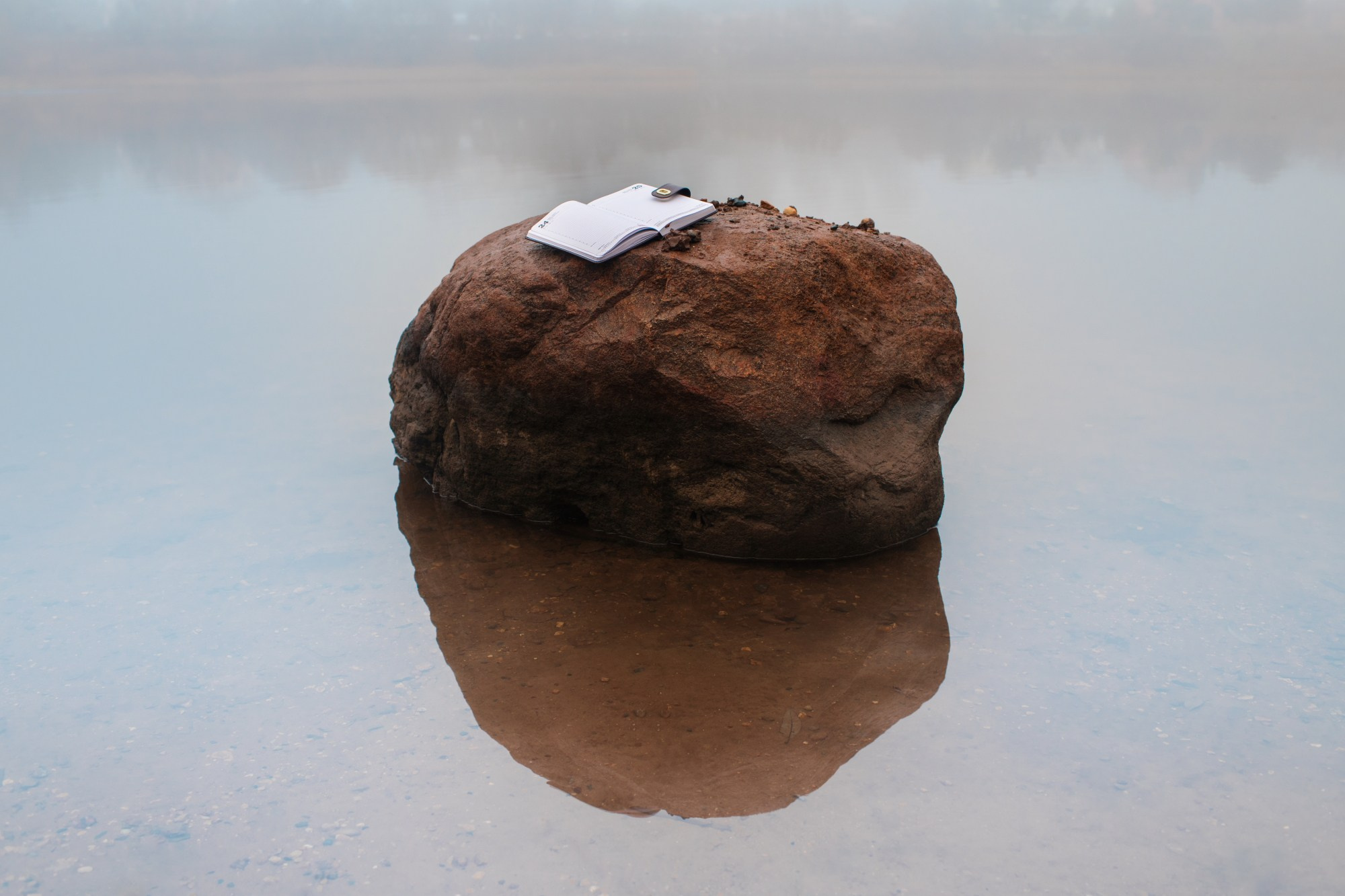 Срок Годности. ALEXEY KRYLOV | Photography