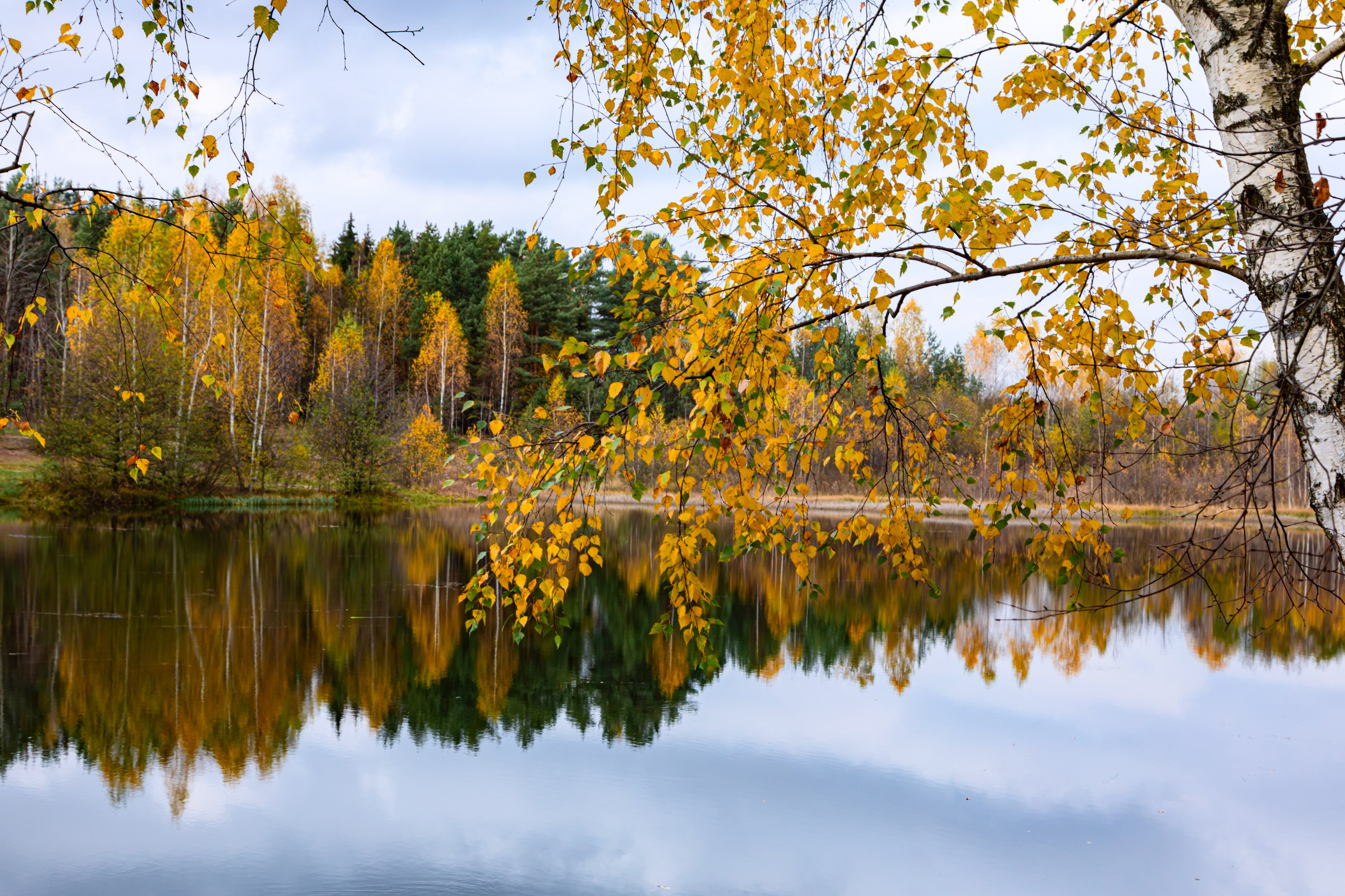 Осень. Свадьбы, портретная, предметная съемка. Фотограф Александр К
