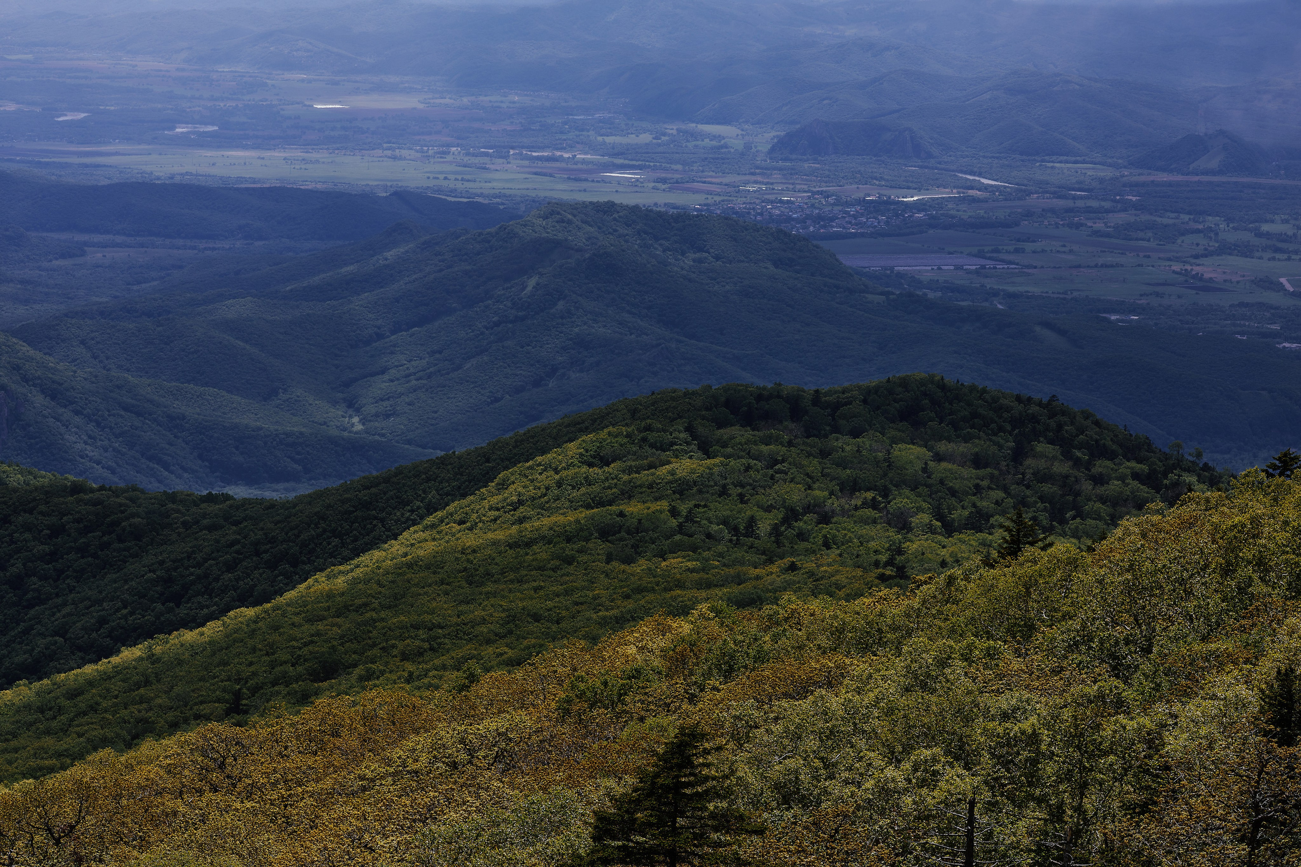 Приморские сопки с вершины Макарихи