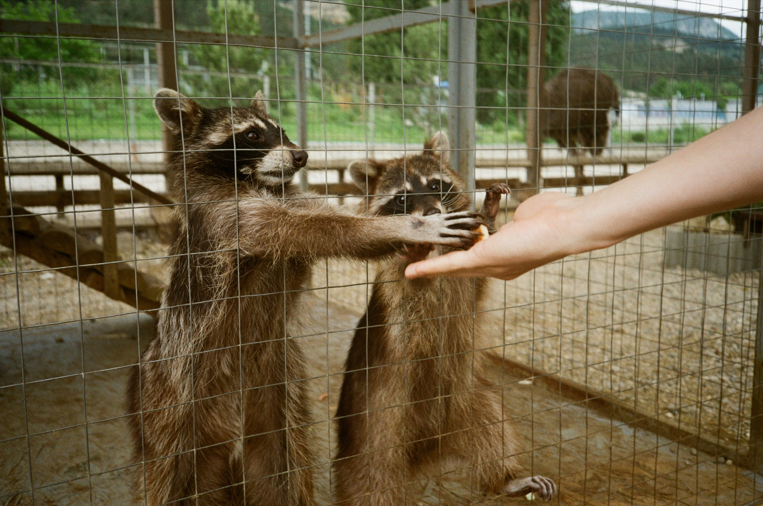 Автор: Анастасия Смирнова