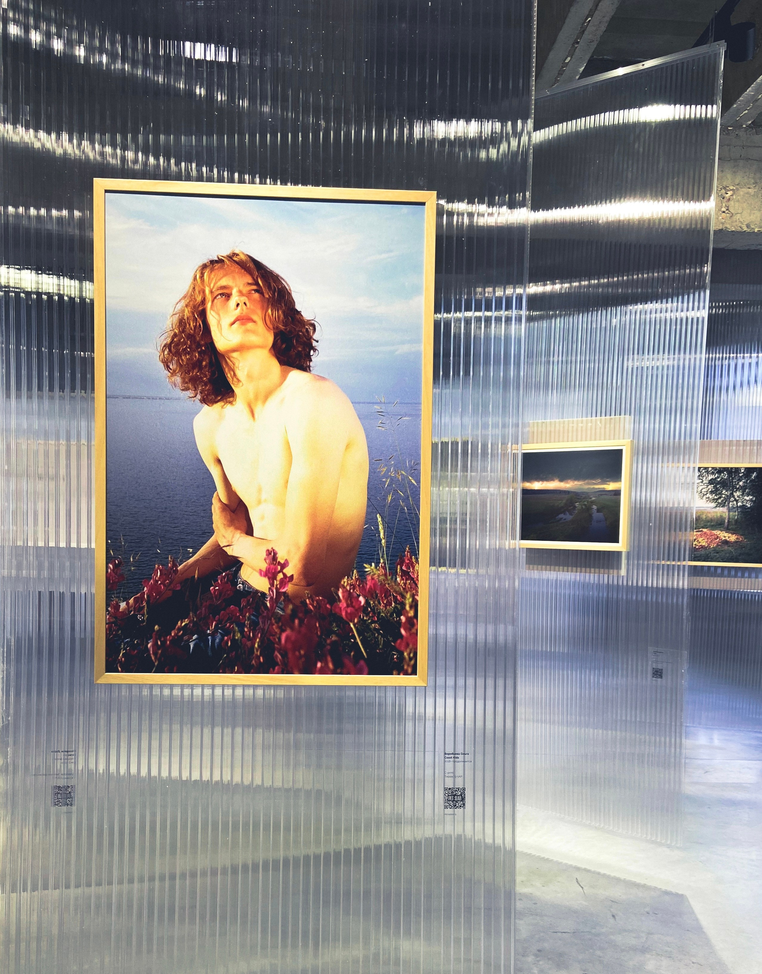 Автор: Евгения Полонская