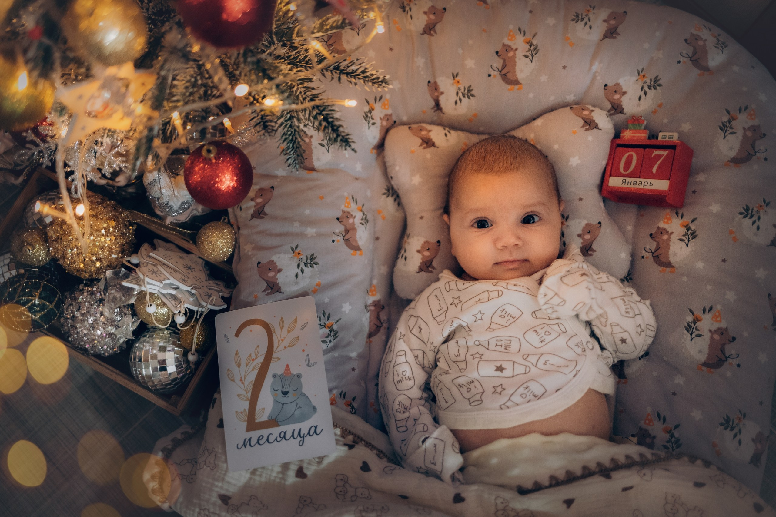 Мила Ботова. Фотограф в России, Семейный фотограф, репортажный фотограф, детский фотограф, портретный фотограф, контент фотограф, универсальный фотограф