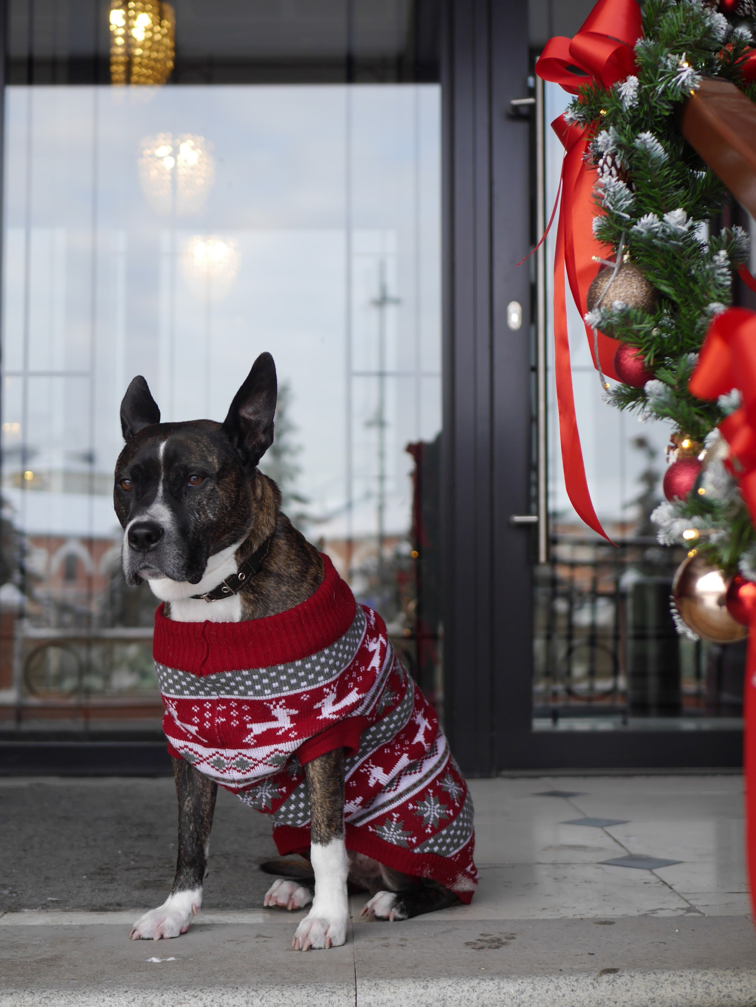 Анастасия и Арчи