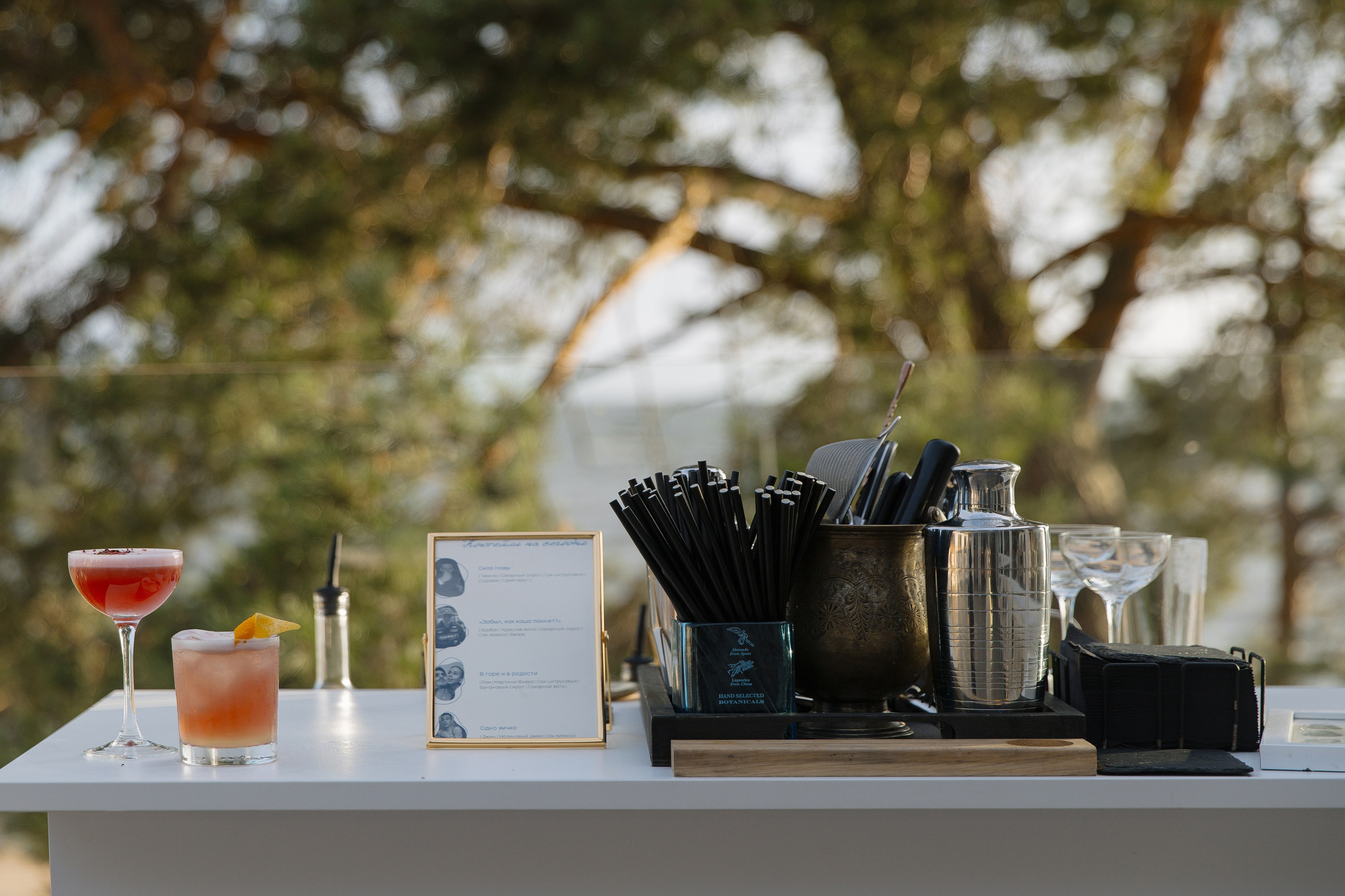 Дарина | Никита