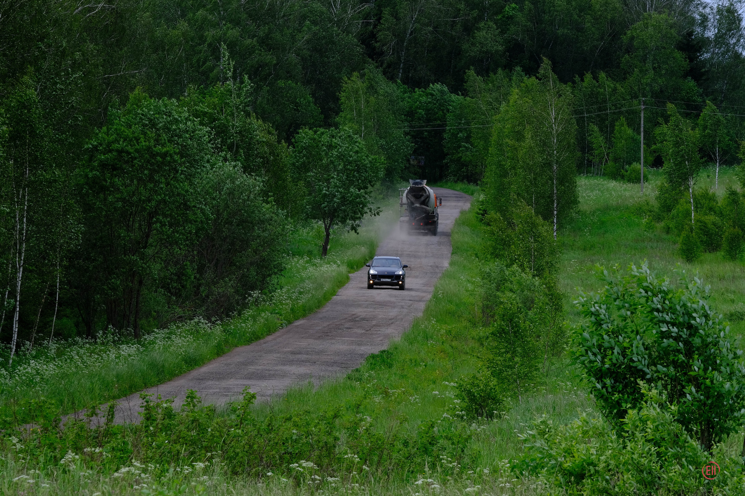 Просто в поле. Питомник китайских хохлатых собак Poale Ell: купить щенка
