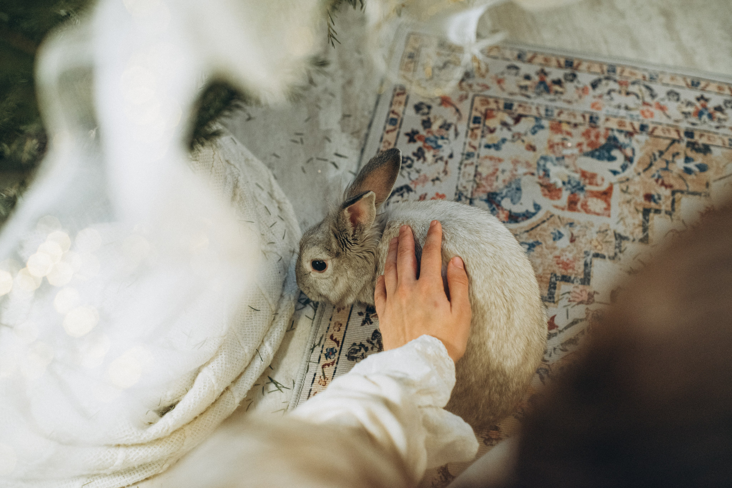 Волшебство внутри тебя. Фотограф Катерина Тюрина. Саратов