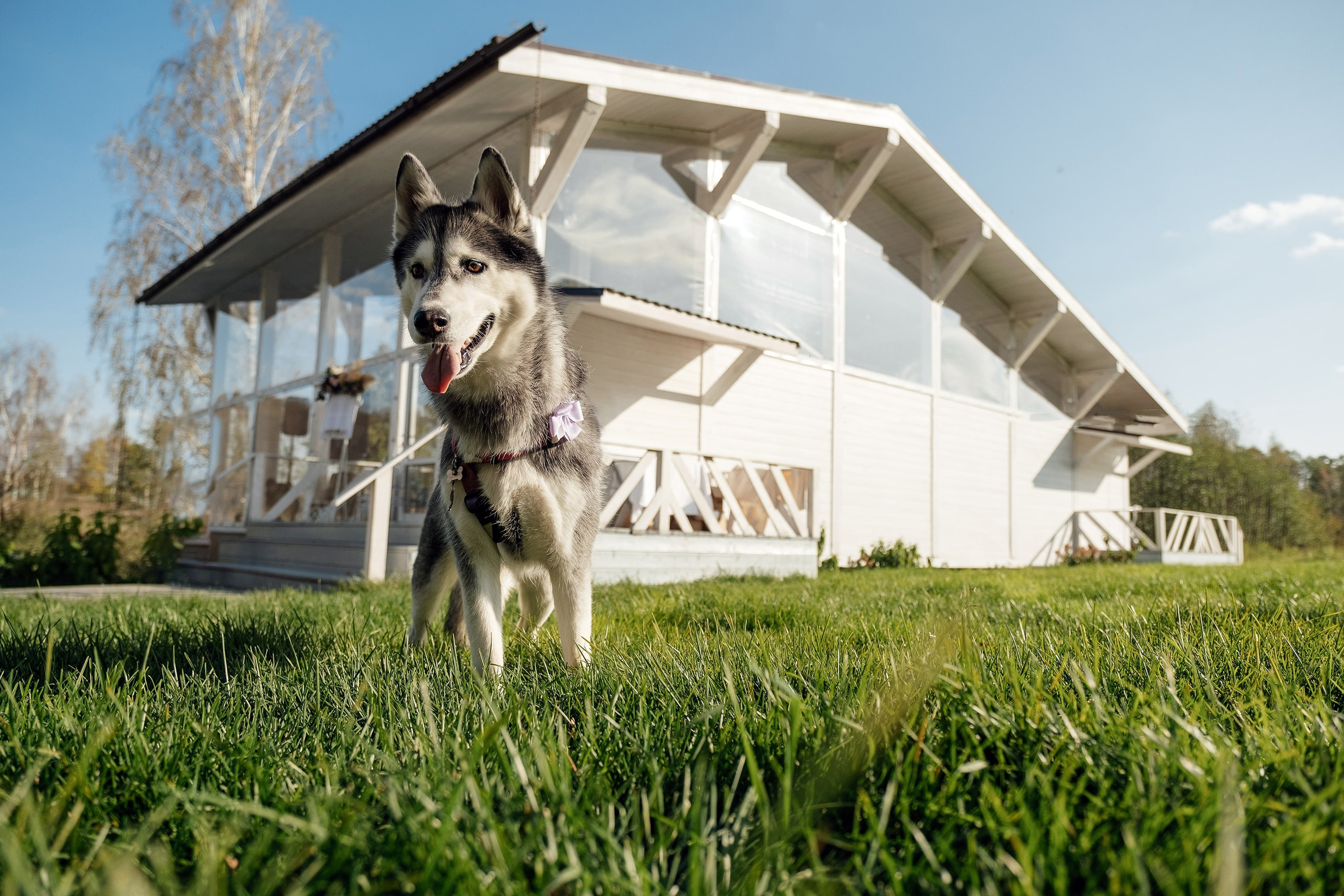 Фотограф Цвайгерт. Подрядчики и друзья сети свадебных площадок House for wedding