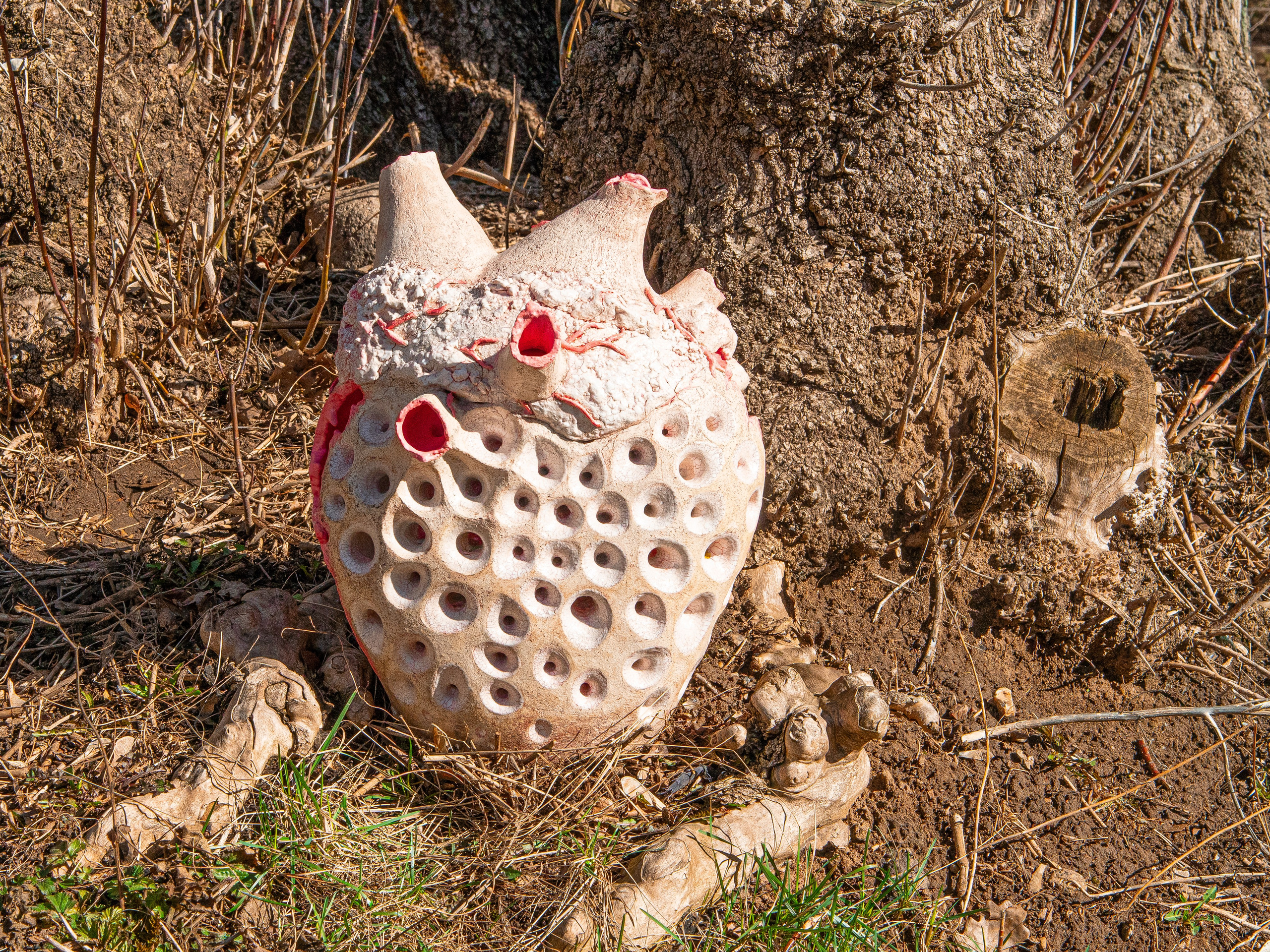 Замирающий стук →. Авторская керамика в Москве, художник Екатерина Кудряшова