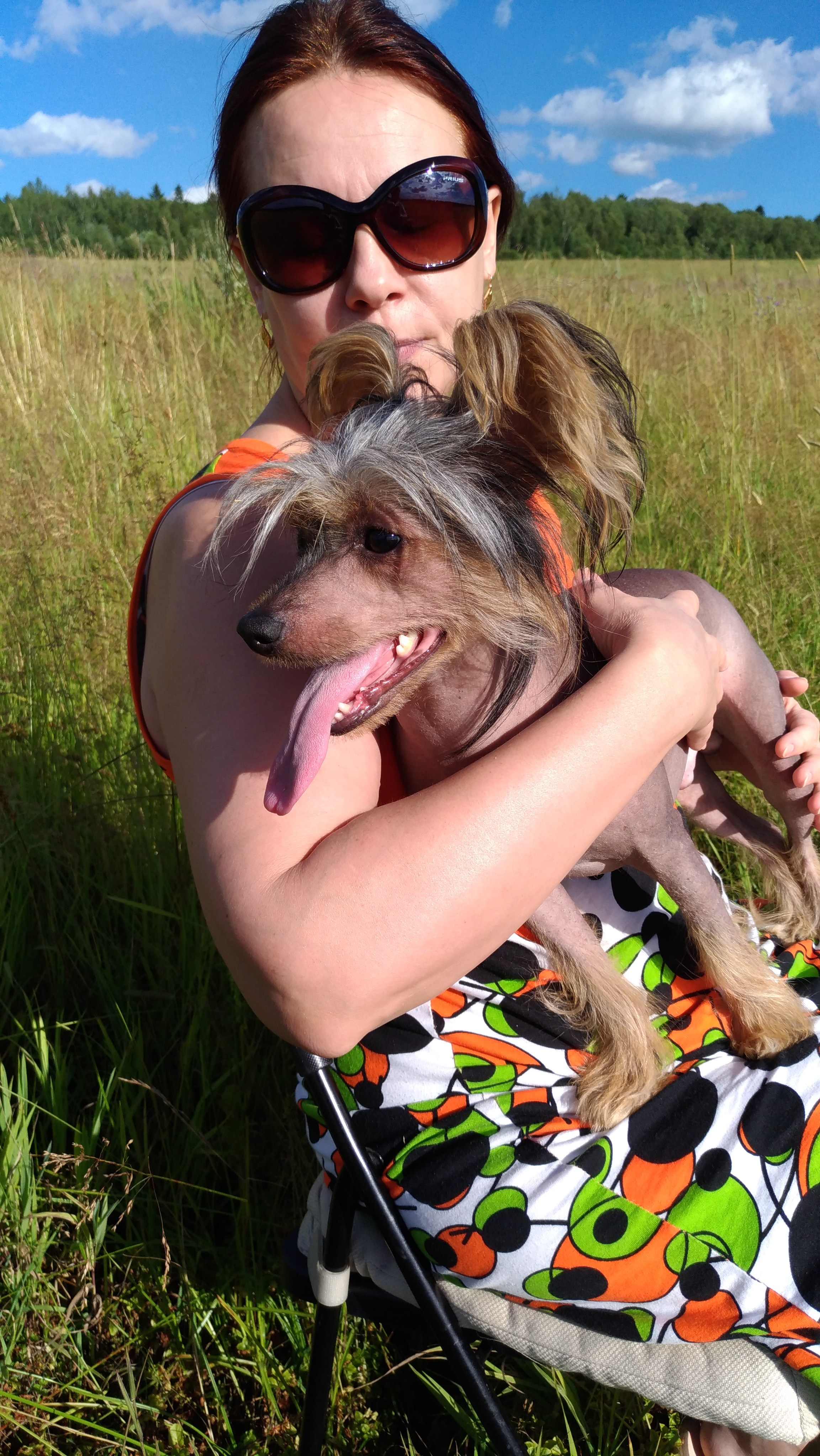 В поле под присмотром сокола. Питомник китайских хохлатых собак Poale Ell: купить щенка в питомнике