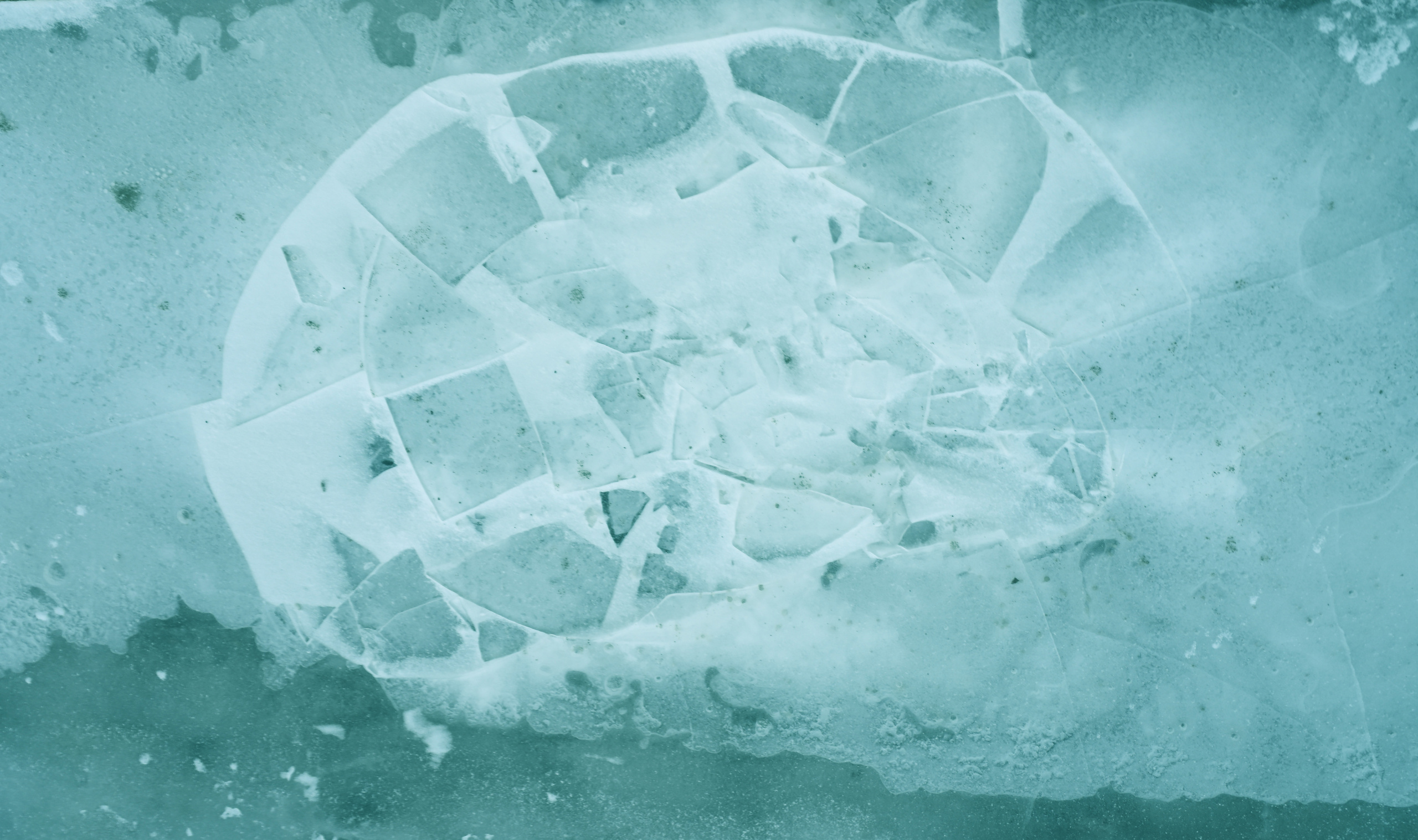 НА НИКЕЛЕВОЙ ЛУНЕ. Никонёнок Анна фотограф