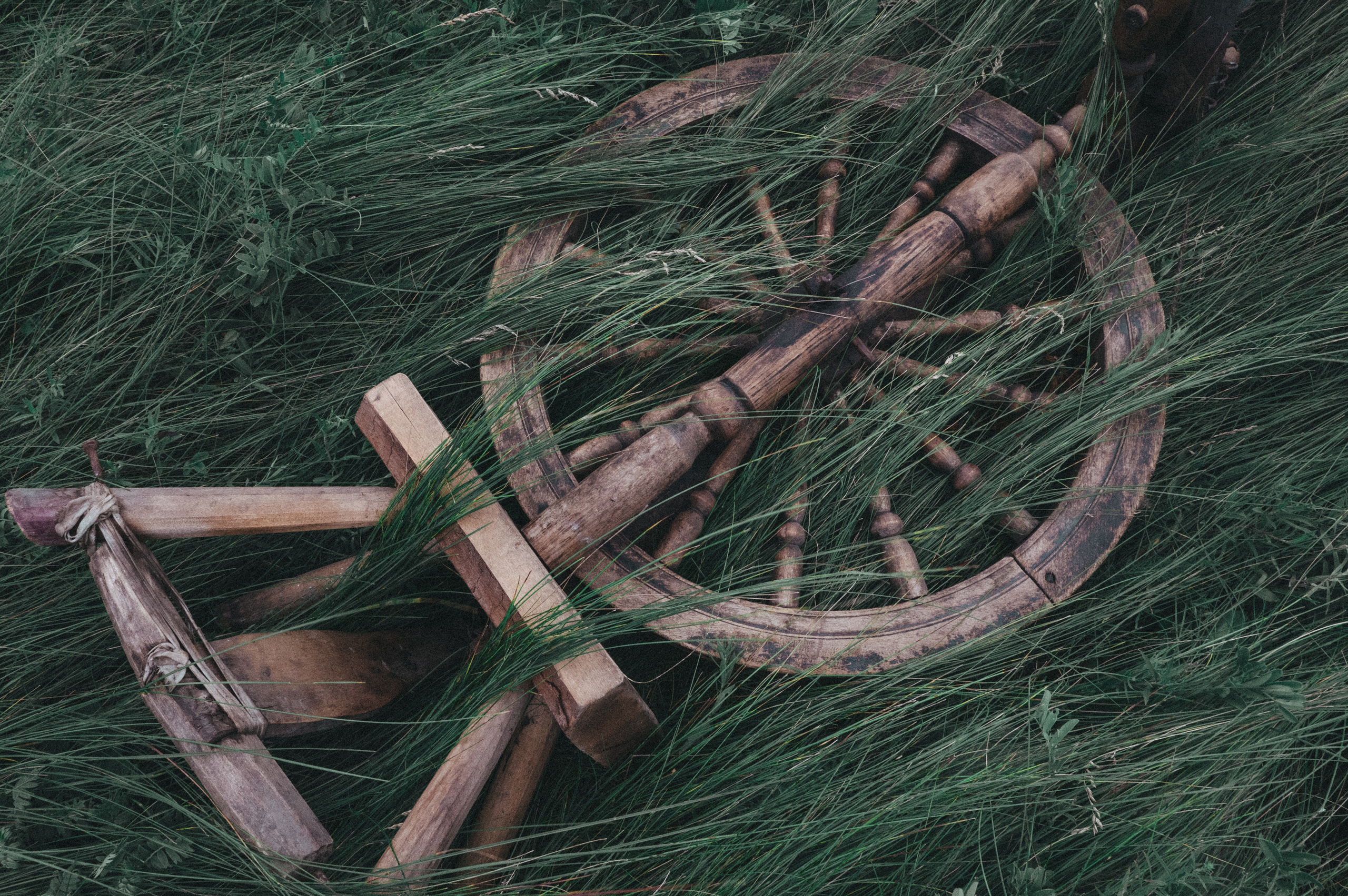 К И К И М О Р А. Никонёнок Анна фотограф