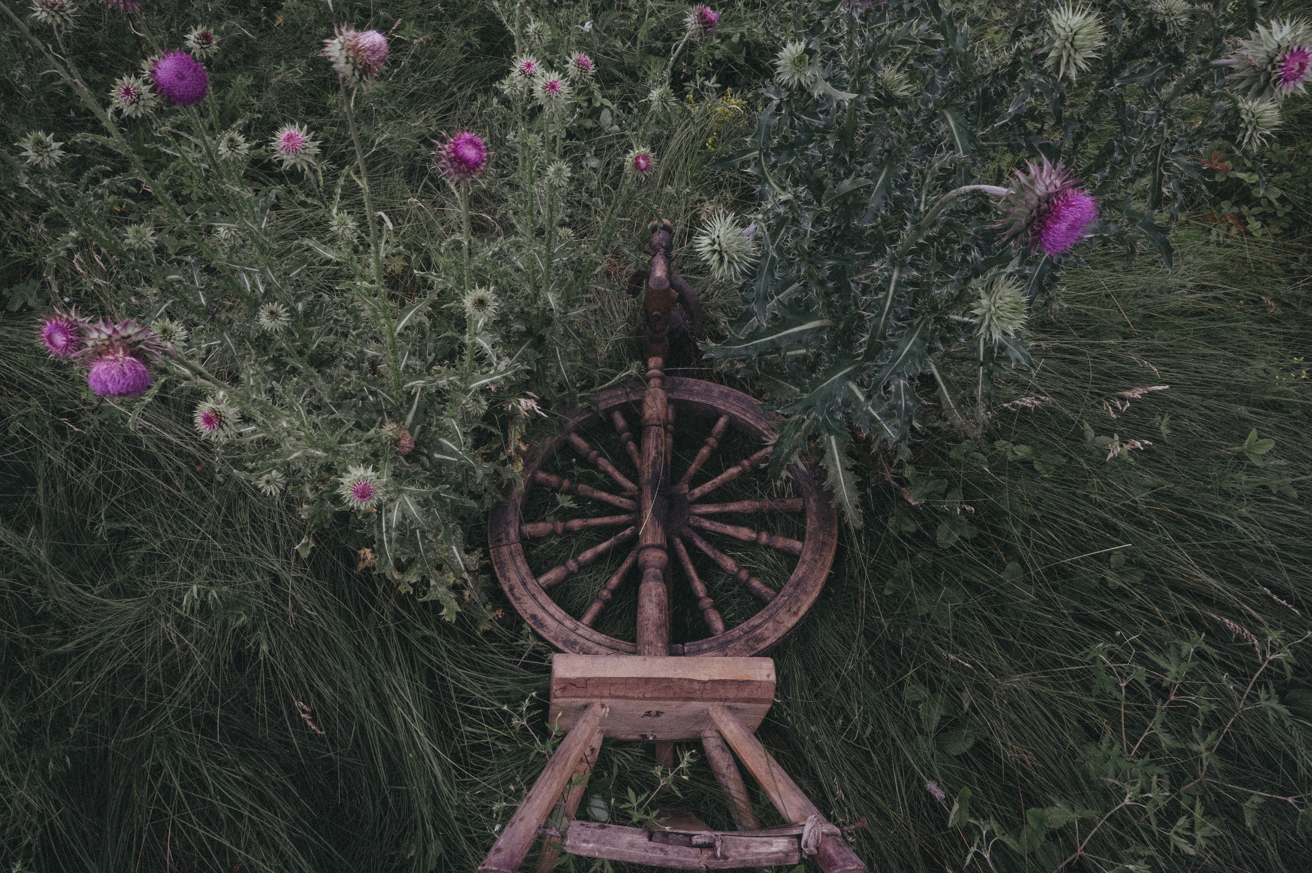 К И К И М О Р А. Никонёнок Анна фотограф