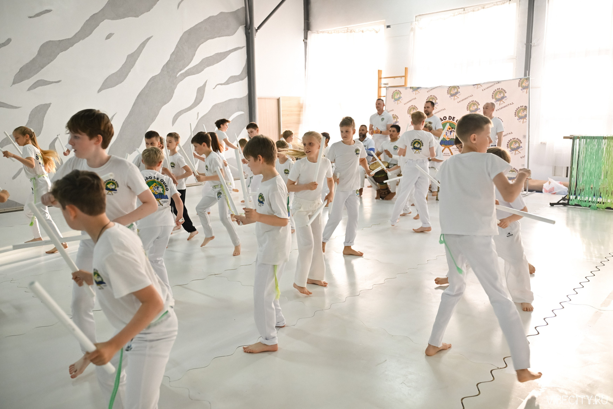 Capoeira: 4-е batizado e Troca de cordao. VIBECITY.RU Вайб Сити Ру Фоторепортажи Фотоотчеты Калининград