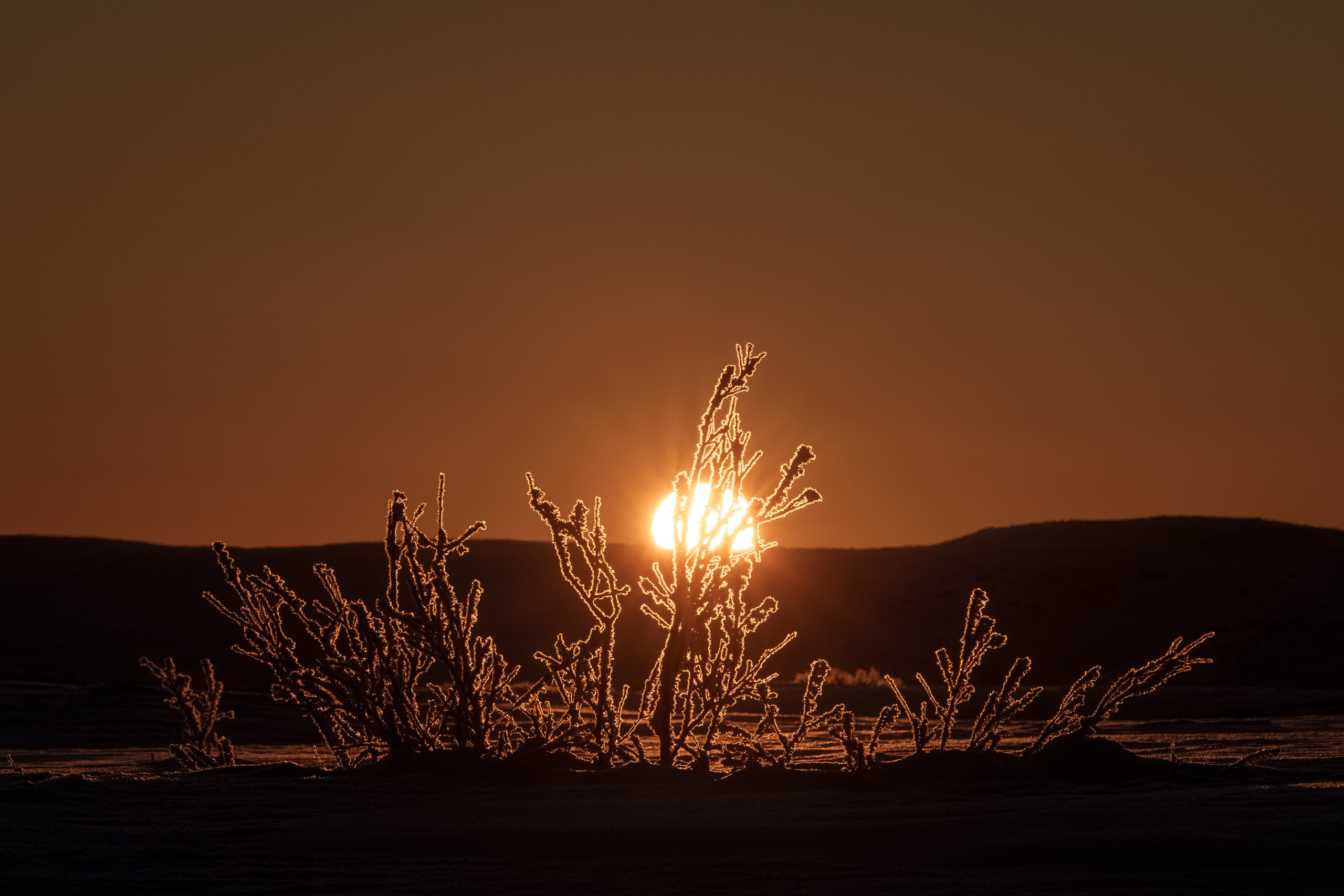 Предзимье на Кольском