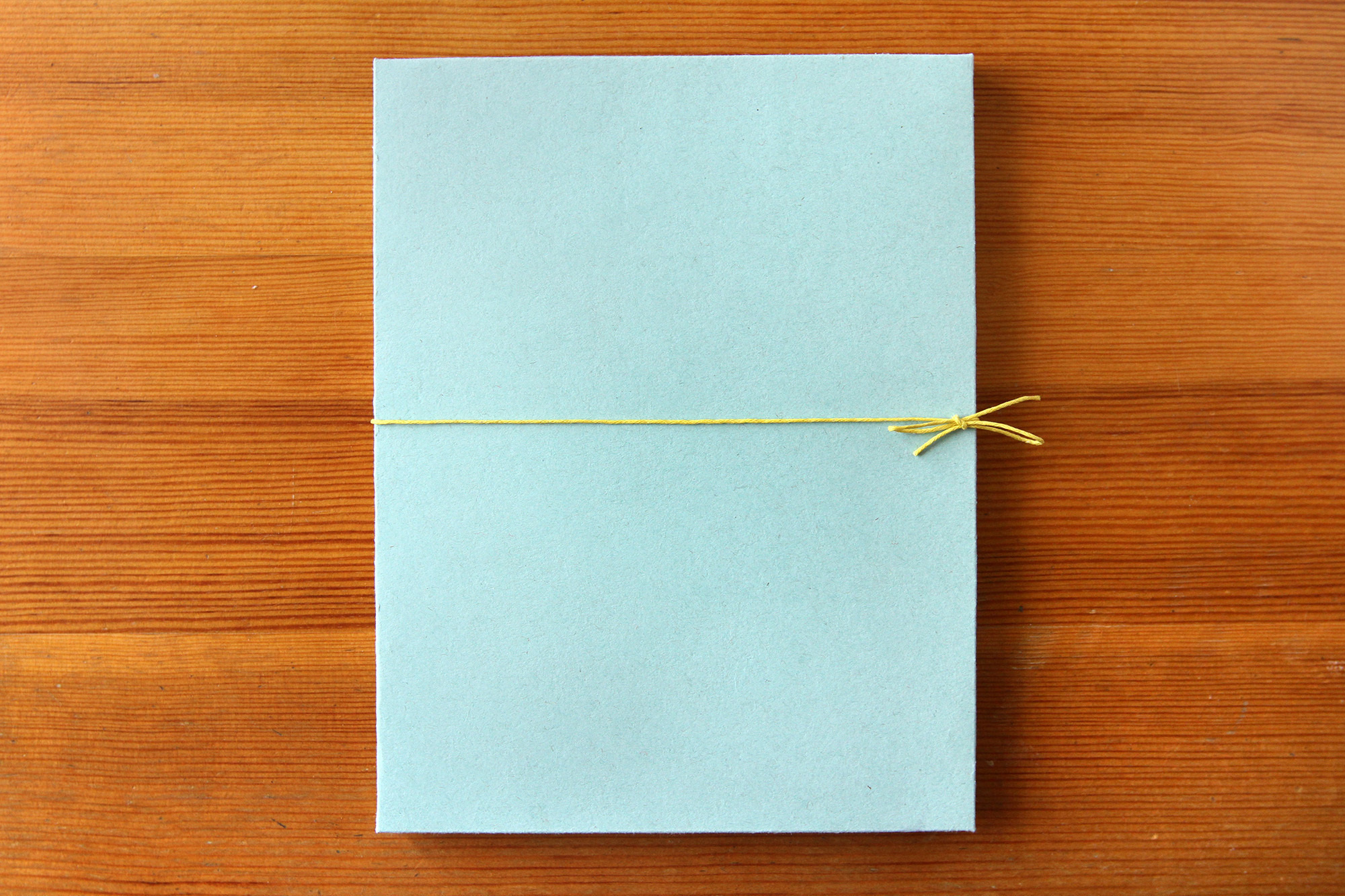 Anastasia Bogomolova — Photobooks — Recall