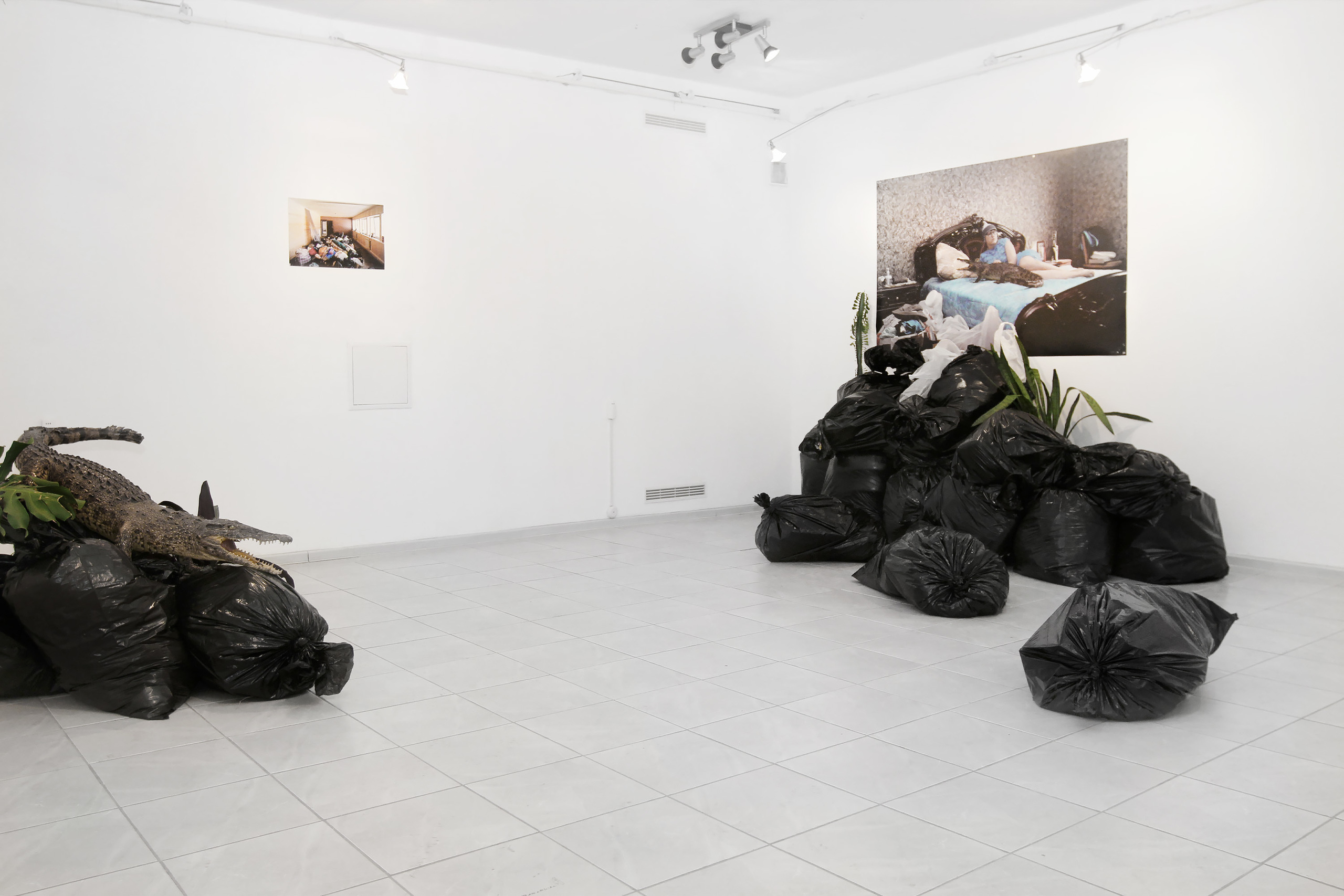 «Landscape»: installation view
Photos, plastic bags, plants, objects from personal archive
Contemporary art gallery «OkNo», Chelyabinsk, Russia, 2016