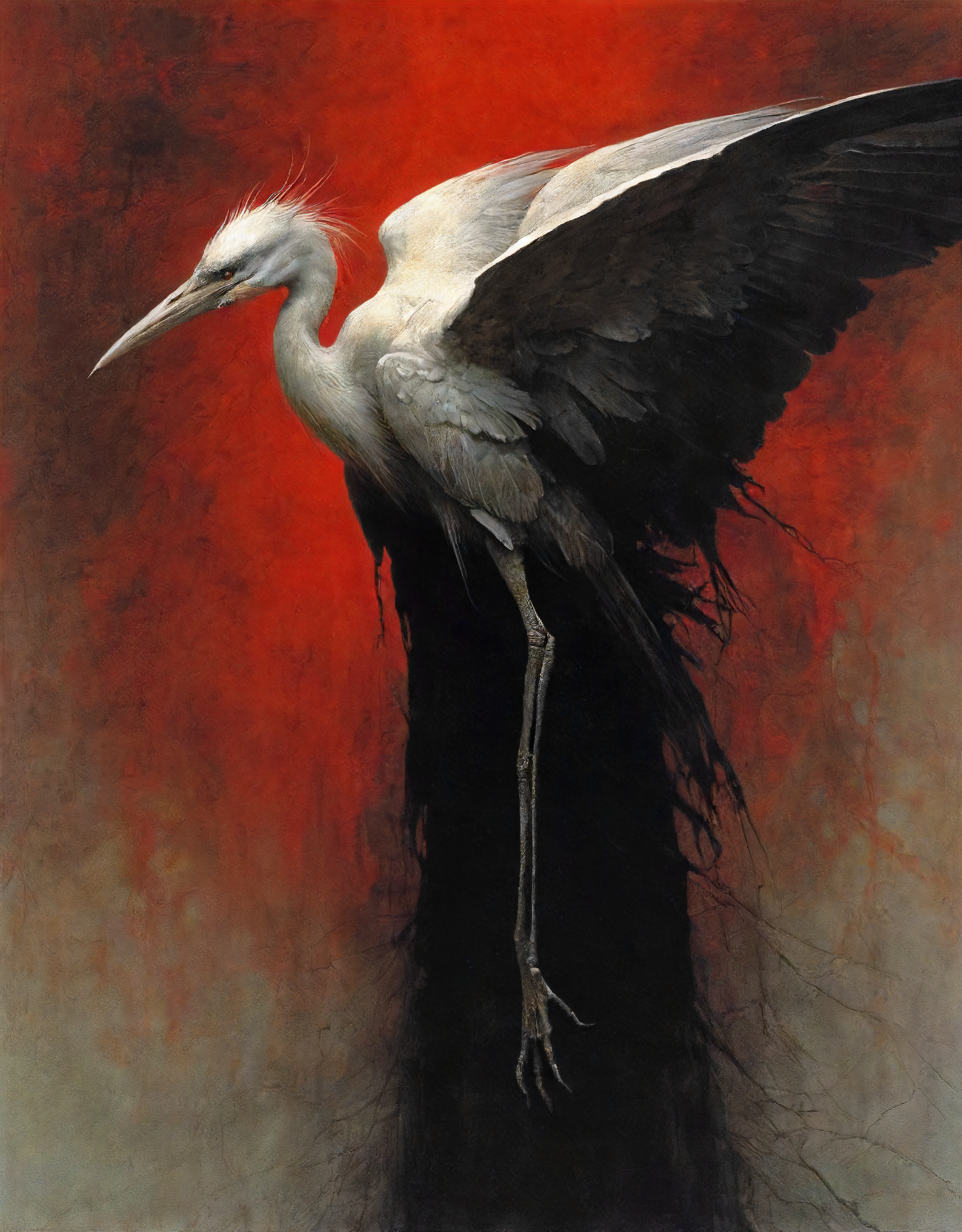 Постеры. Портретный фотограф