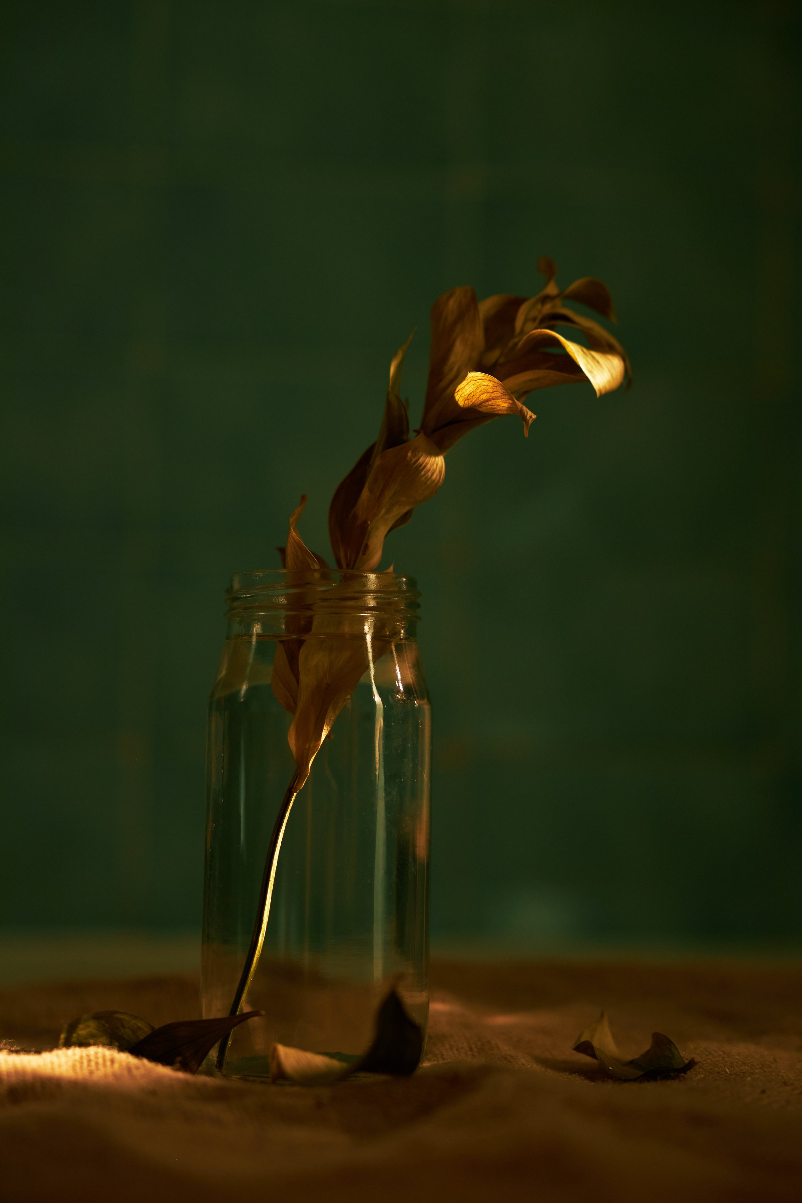 FOOD. GoodLine Agency