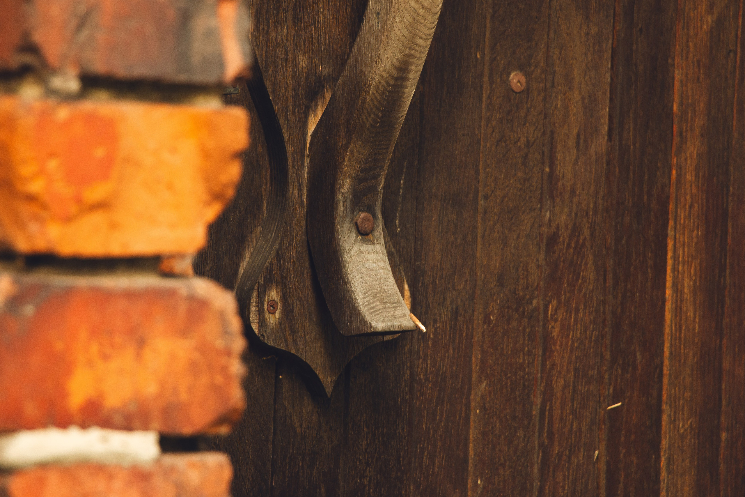 Рыбинск. Олег Романов. Мастер фото по спорту