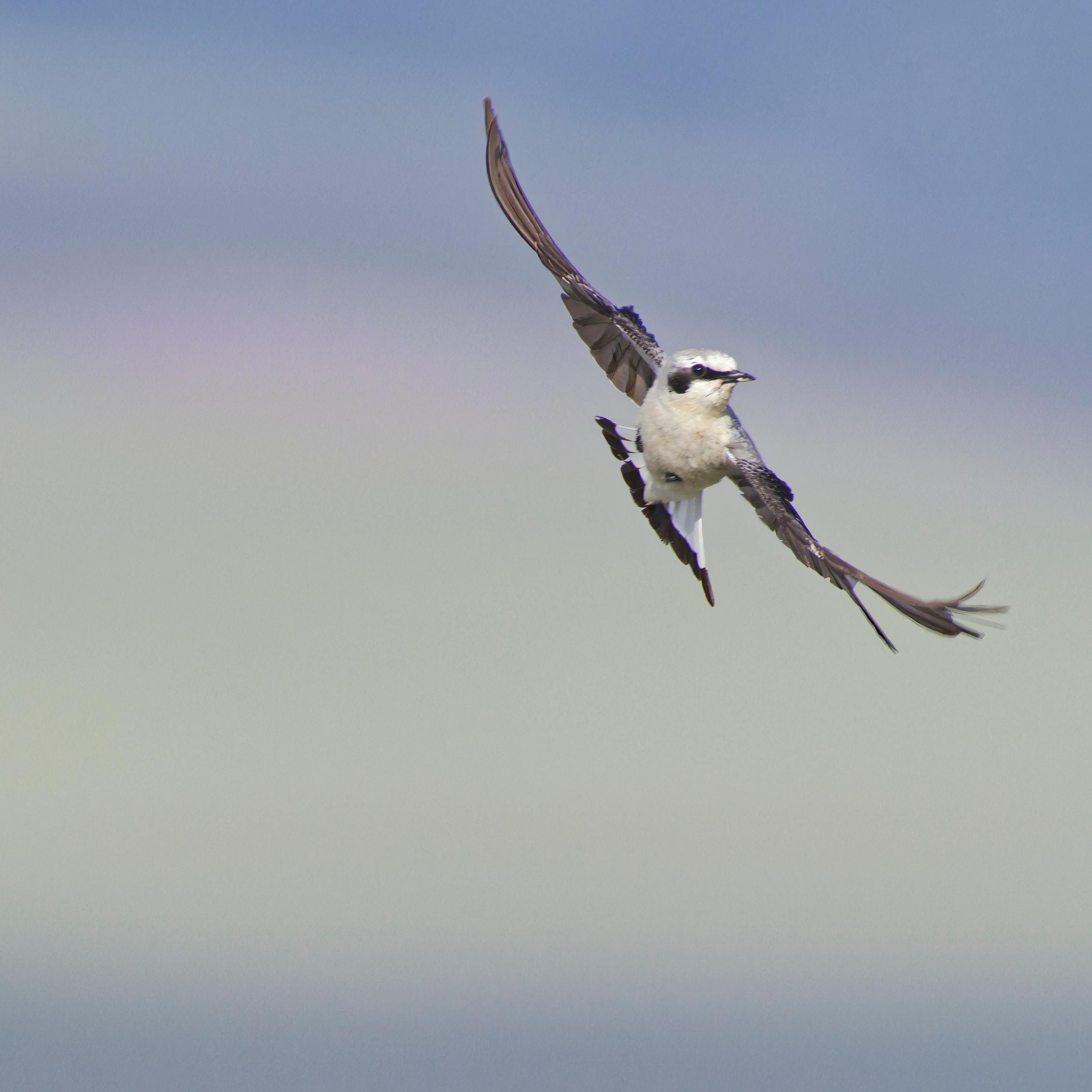 Экспедиция в Монголию (котловина больших озер). Семоха Валерий. Фотограф