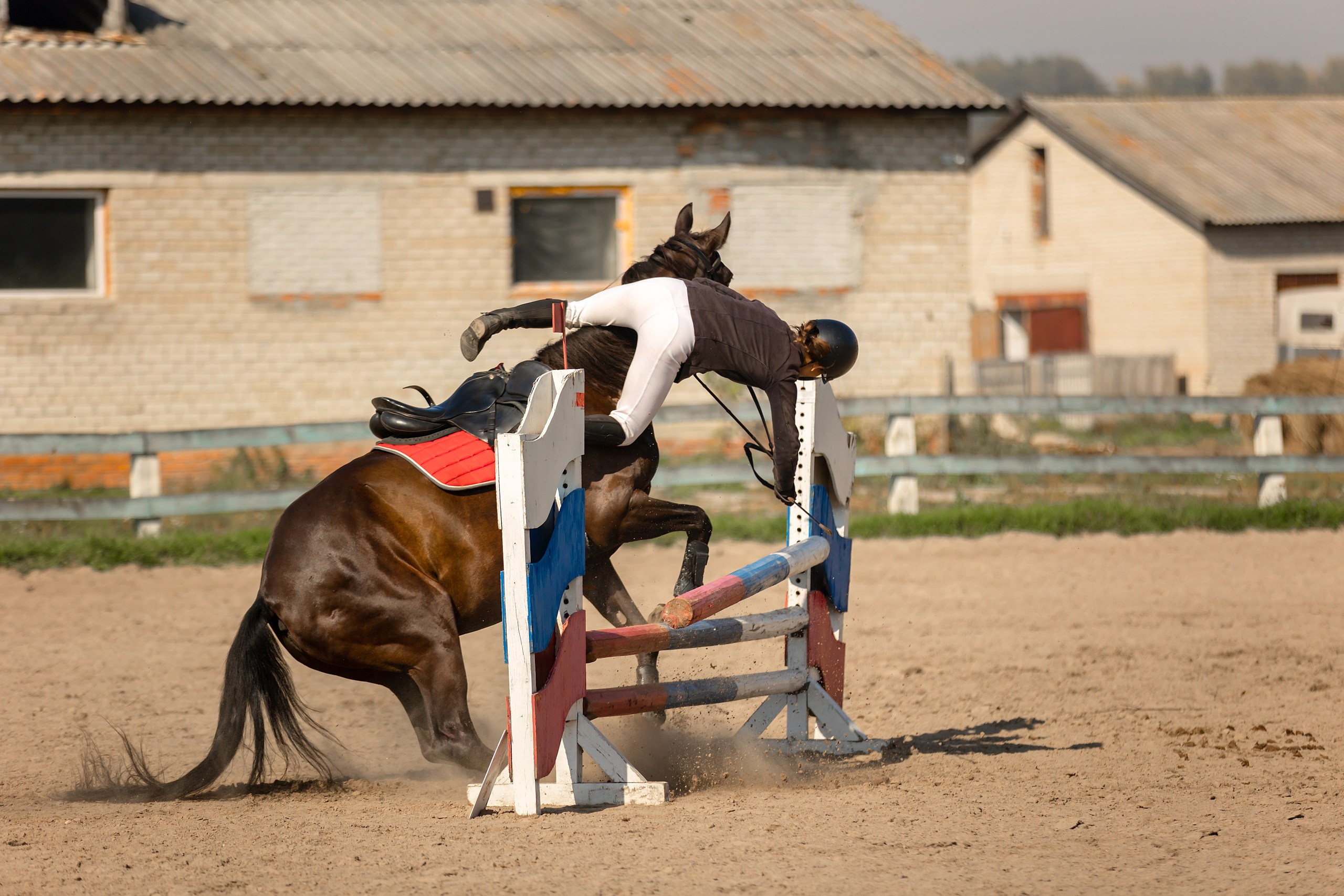 Соревнования по конному спорту. Конный фотограф Валынкина Лера