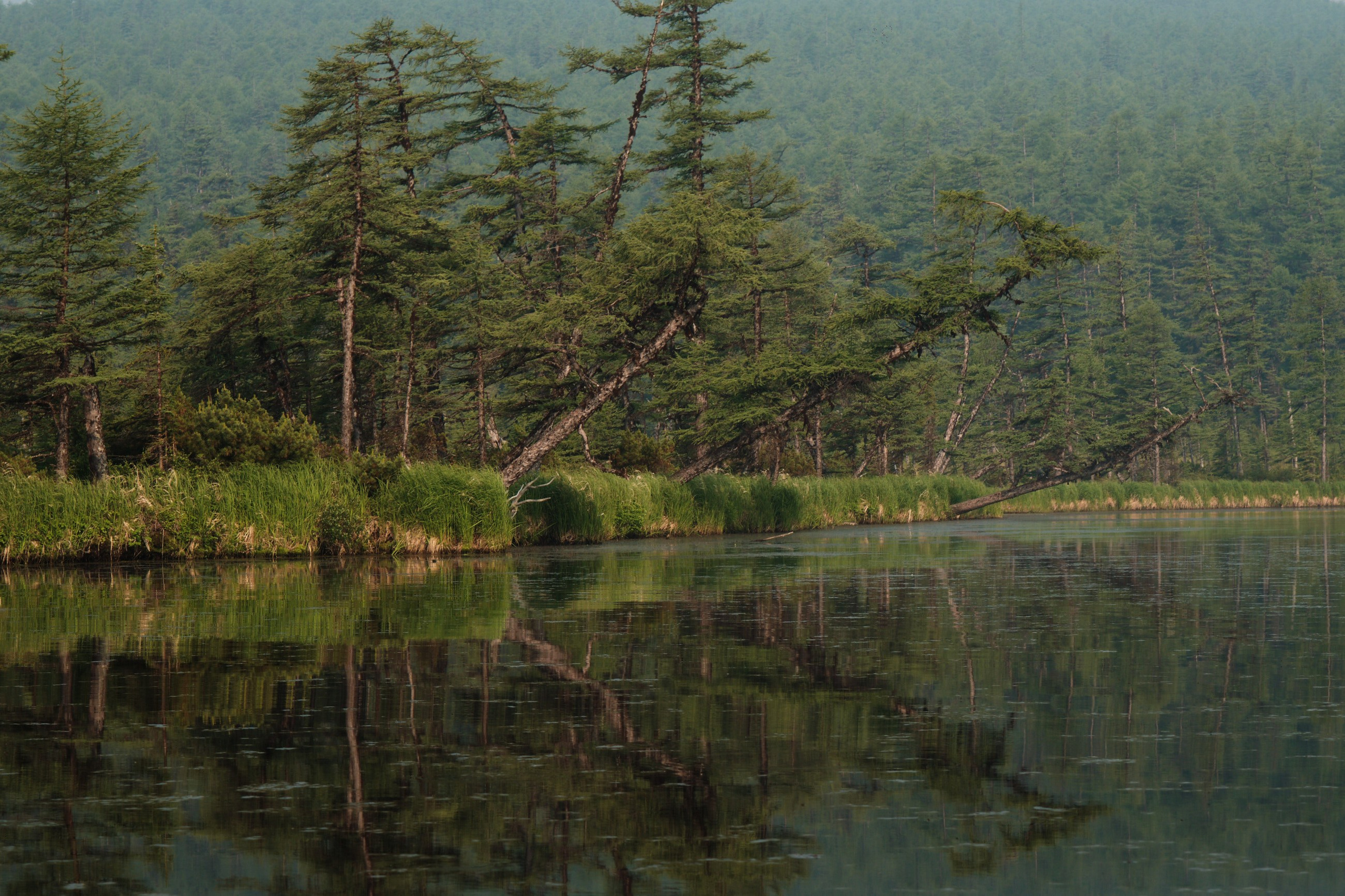 Главная. Юрий Березнюк. Фотограф в Новороссийске. Фотожурналистика