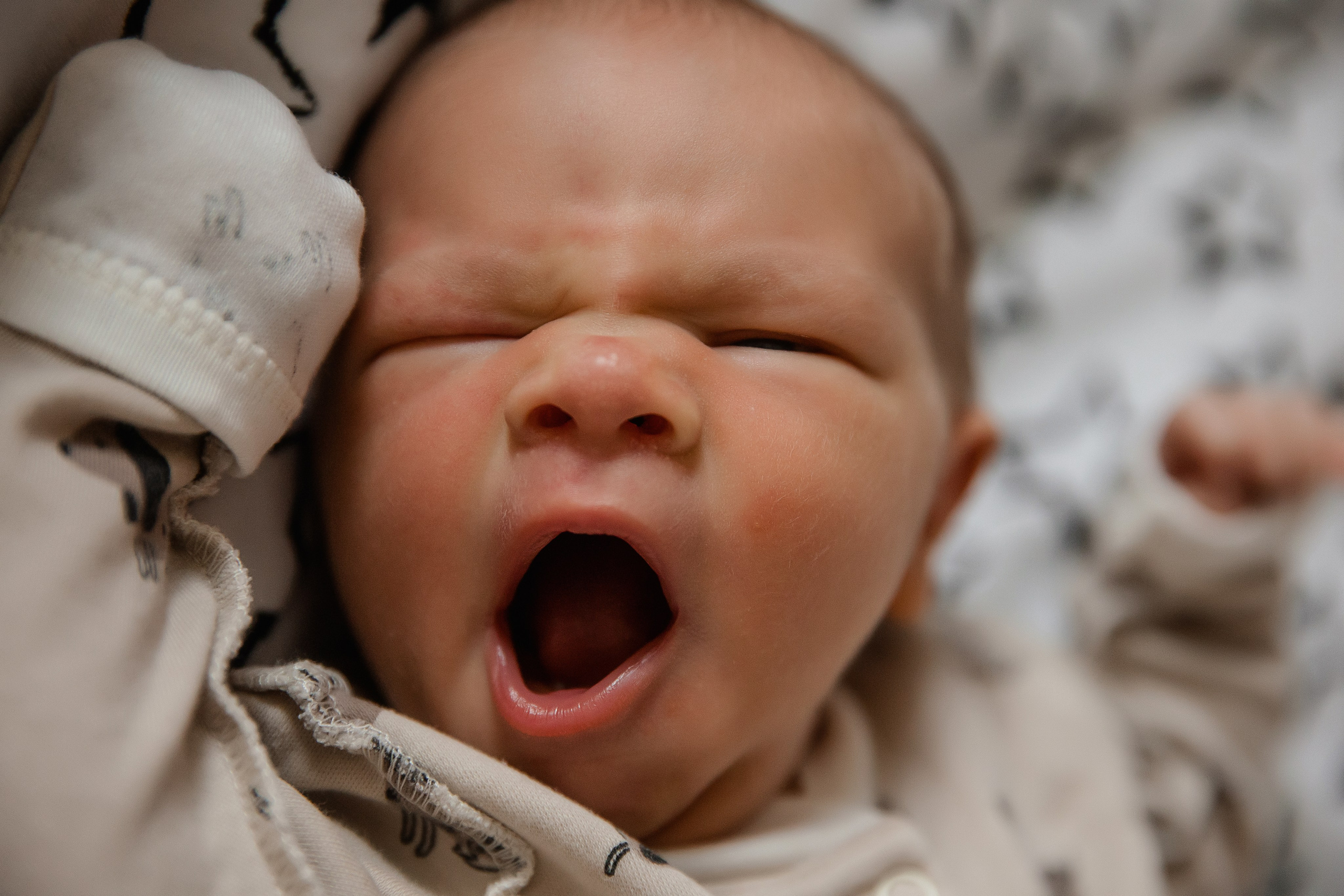 Семейный и детский фотограф в Москве Вера Ускова