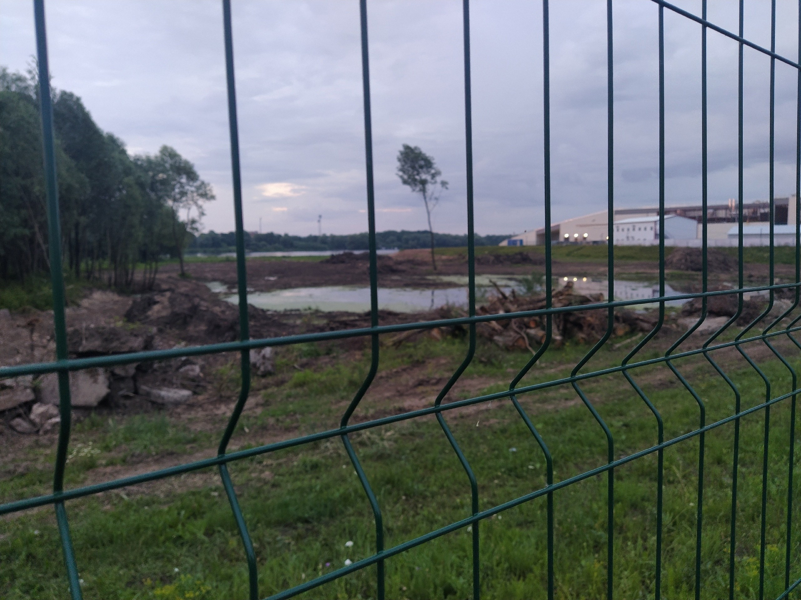 Елена Иванова