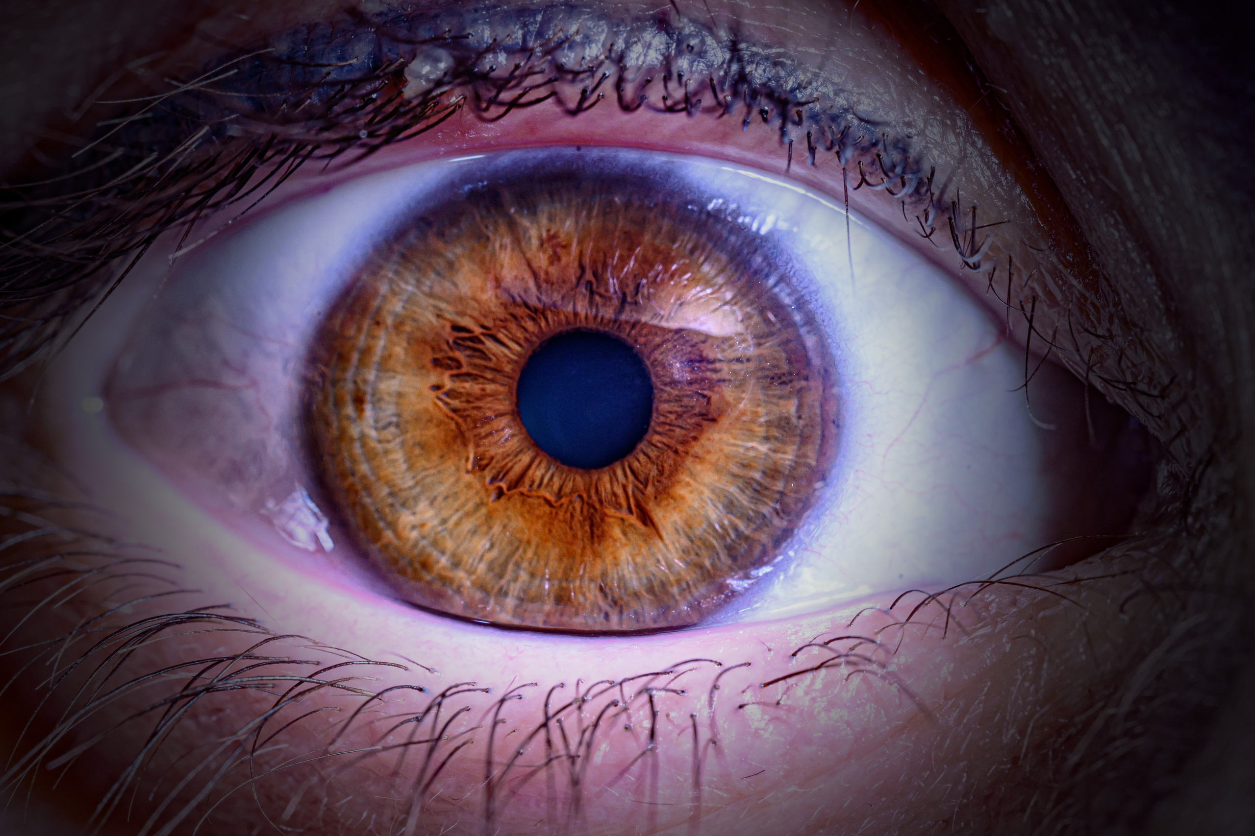 Лучшая фотография радужки глаза в Ростове. Профессиональная фотосъемка. Ростов-на-Дону