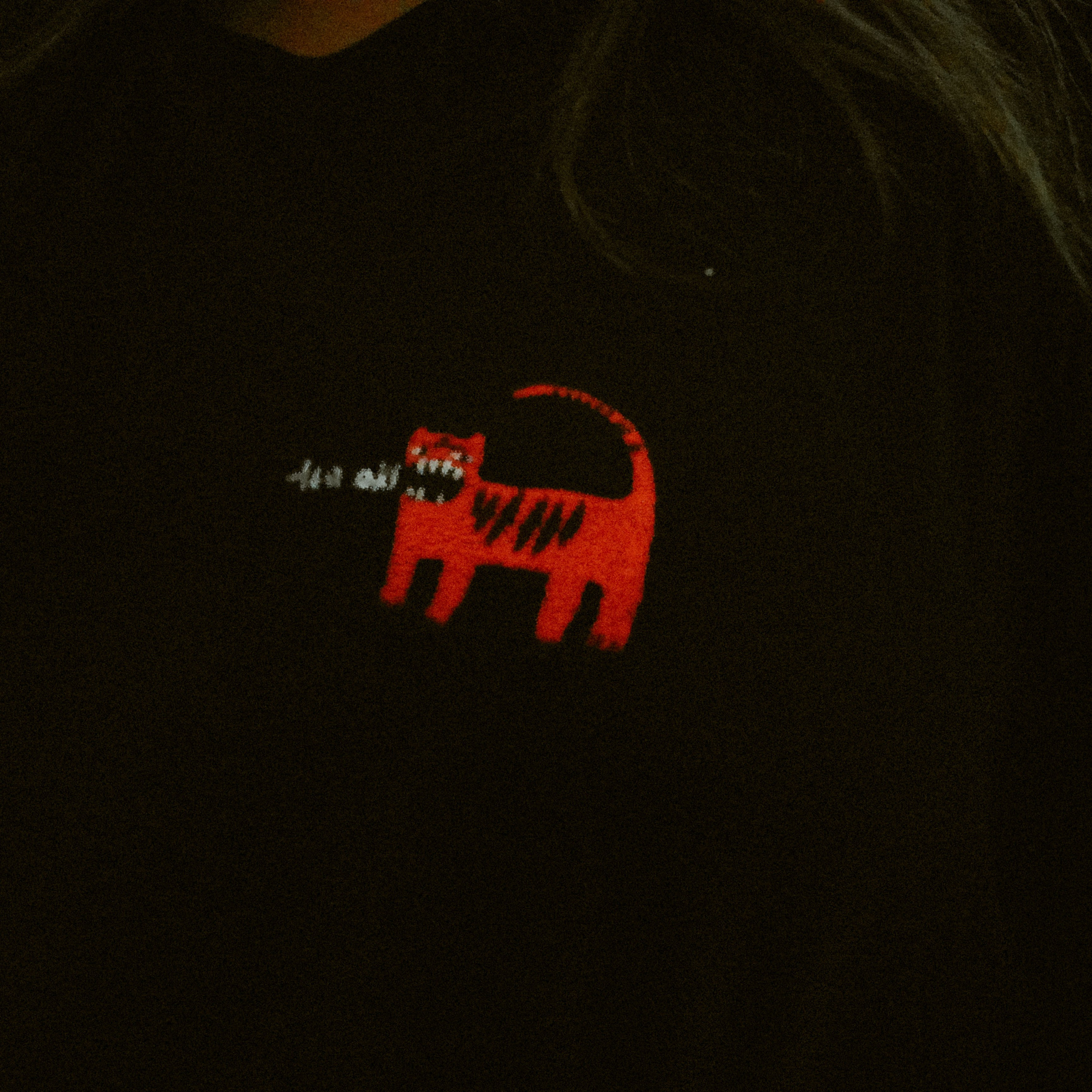 SECTA RAVE. DENISOV ART (фото, видео, дизайн) САМАРА