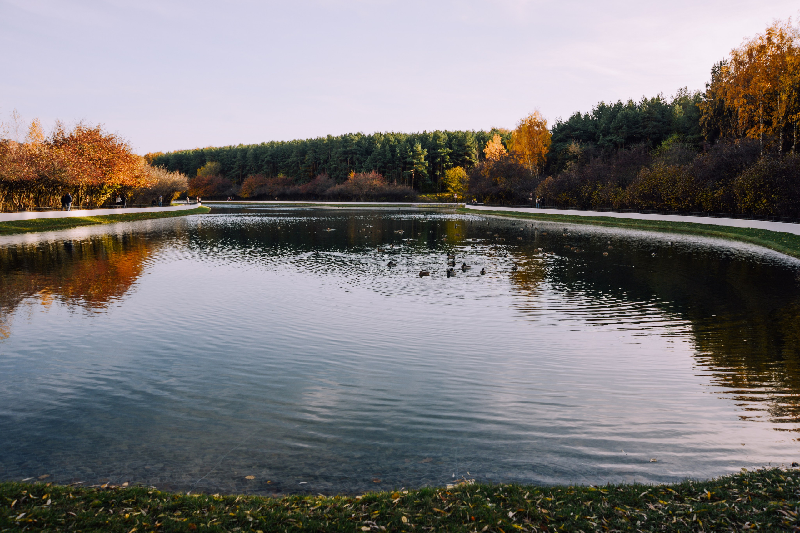 Autumn pond in a city park, nature background