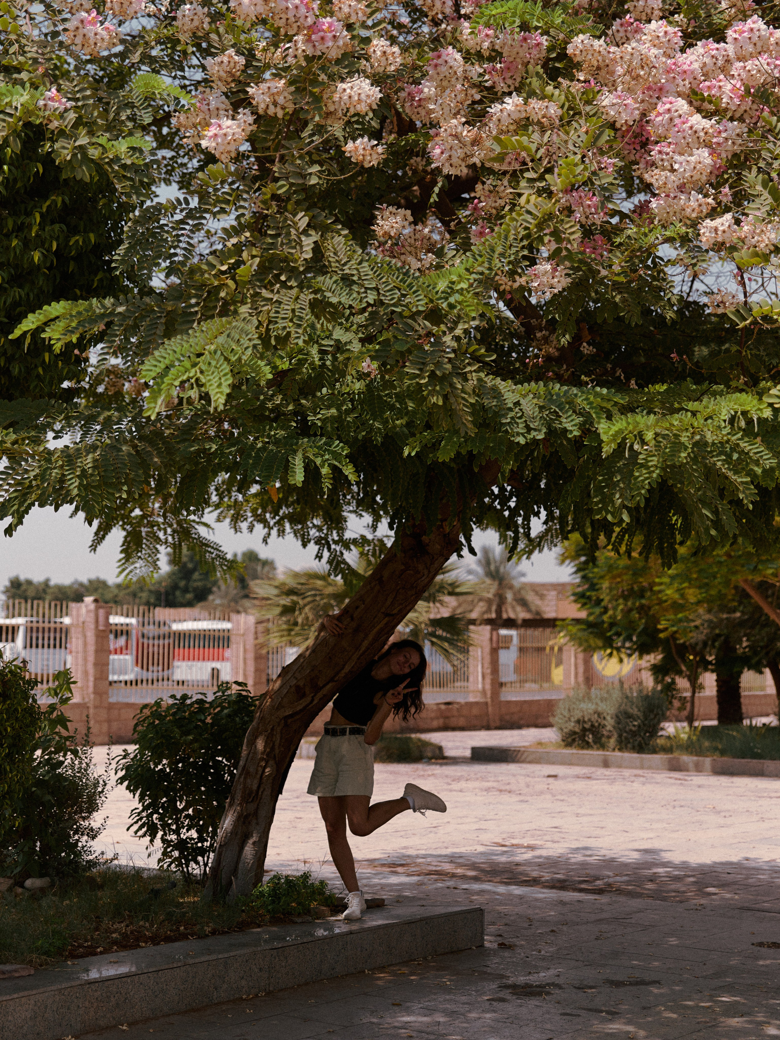 Луксор. Jorgis — фотограф в Хургаде / обучение фотографии