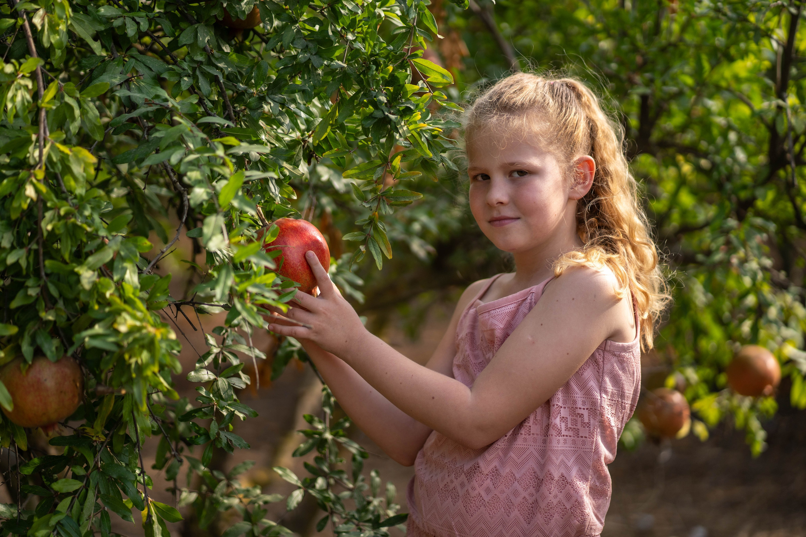 Гранатовый сад. Семейный и детский фотограф в Израиле и Москве Дорошок Надя