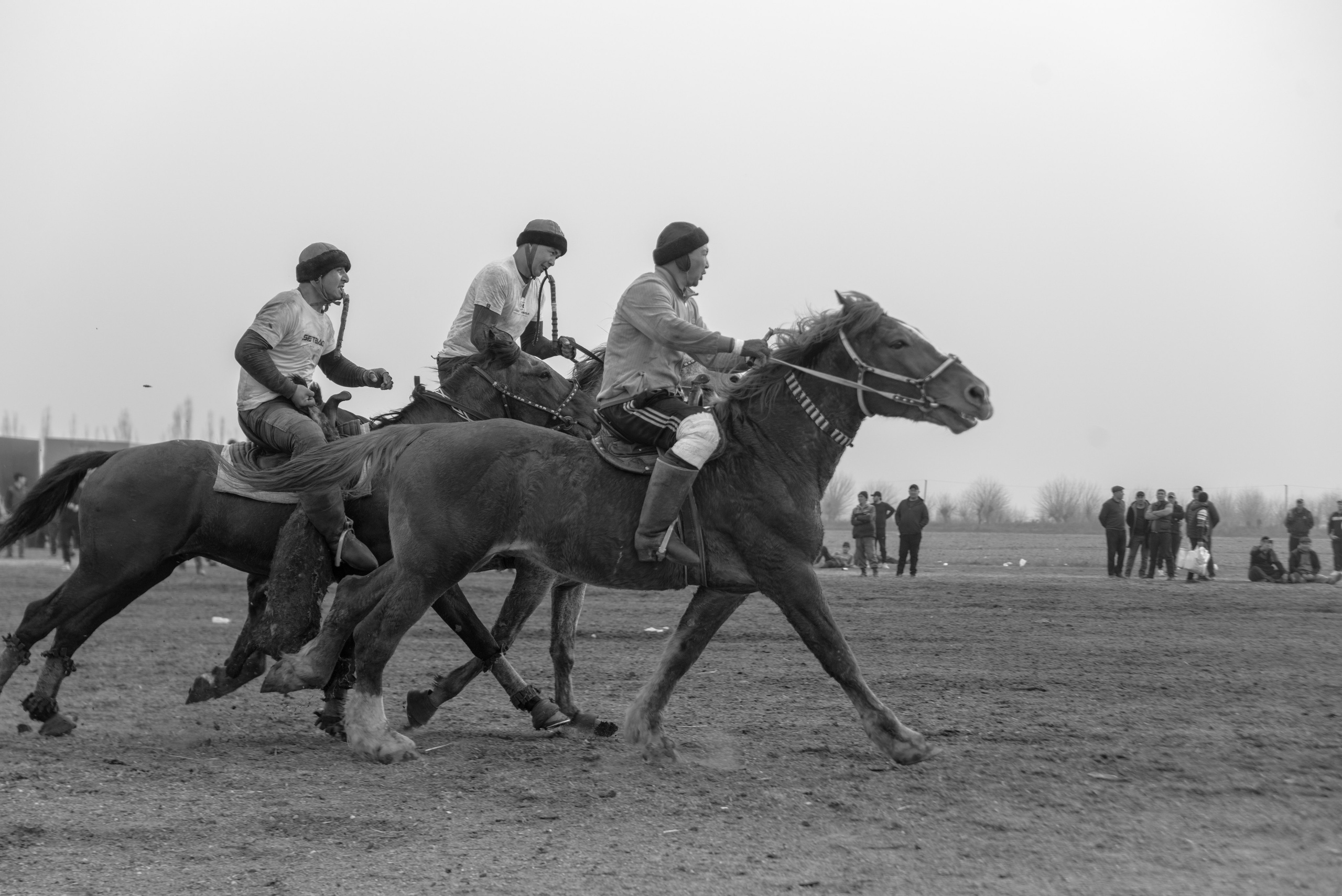 битва на лошадях за козлиную тушу узбекистан