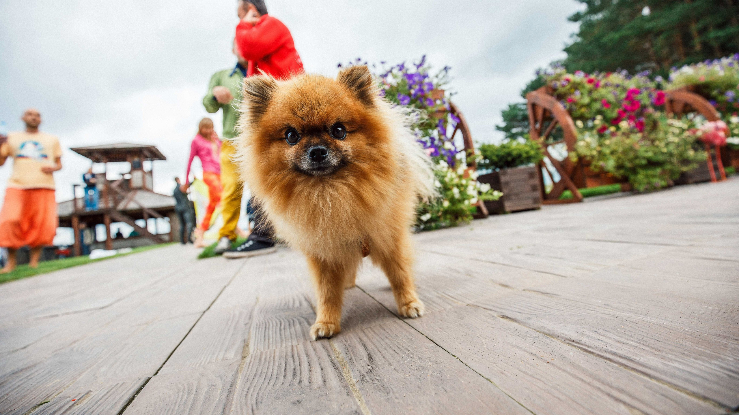 Репортажный фотограф Григорий Козлов