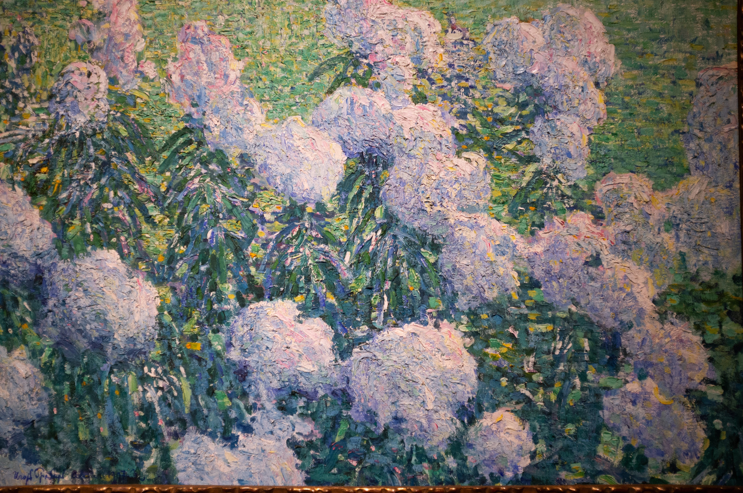 Изображая воздух. Свет и цвет. Искусство фотографии. Мария Осокина