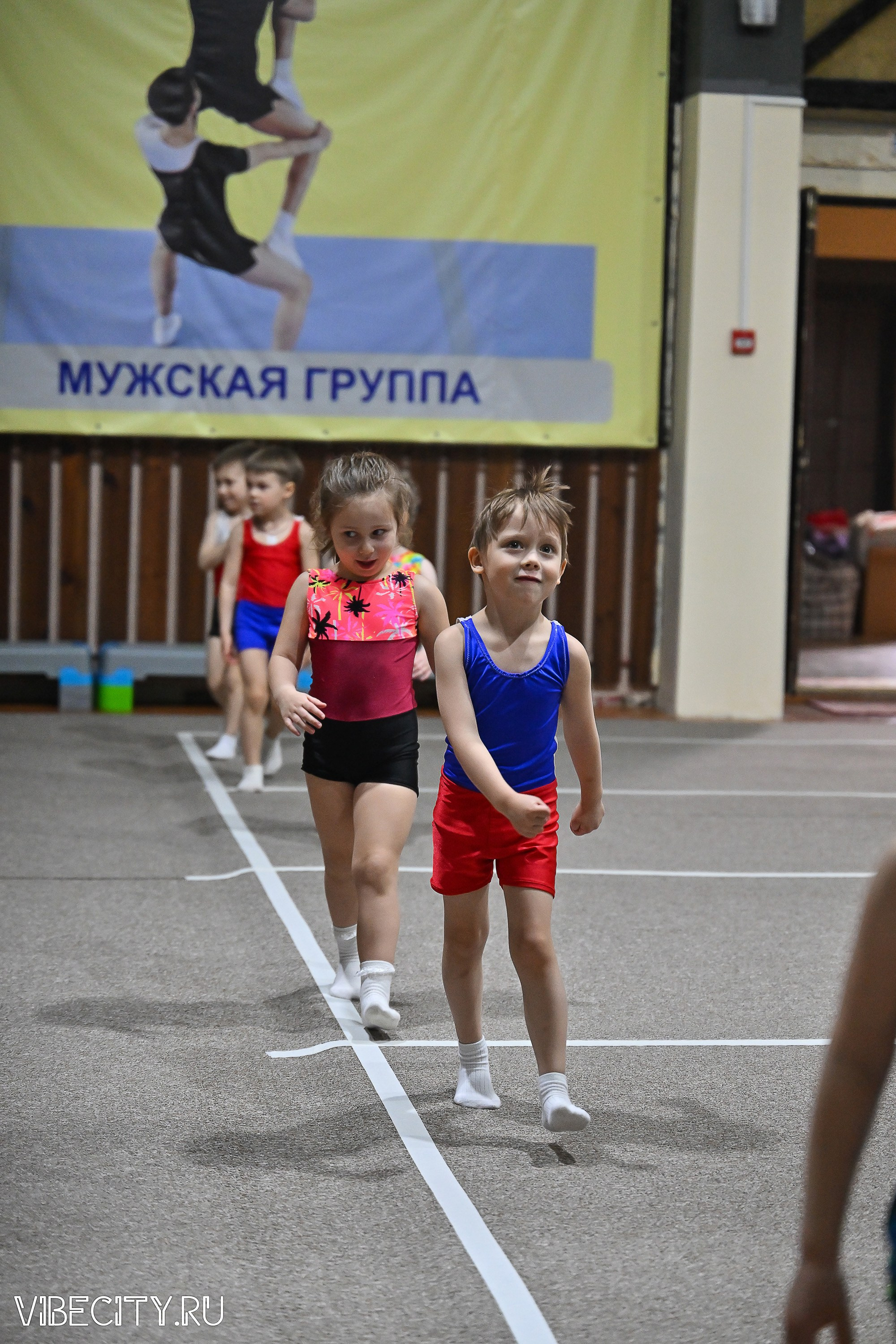 Контрольная тренировка по спортивной гимнастике. VIBECITY.RU Вайб Сити Ру Фоторепортажи Фотоотчеты Калининград