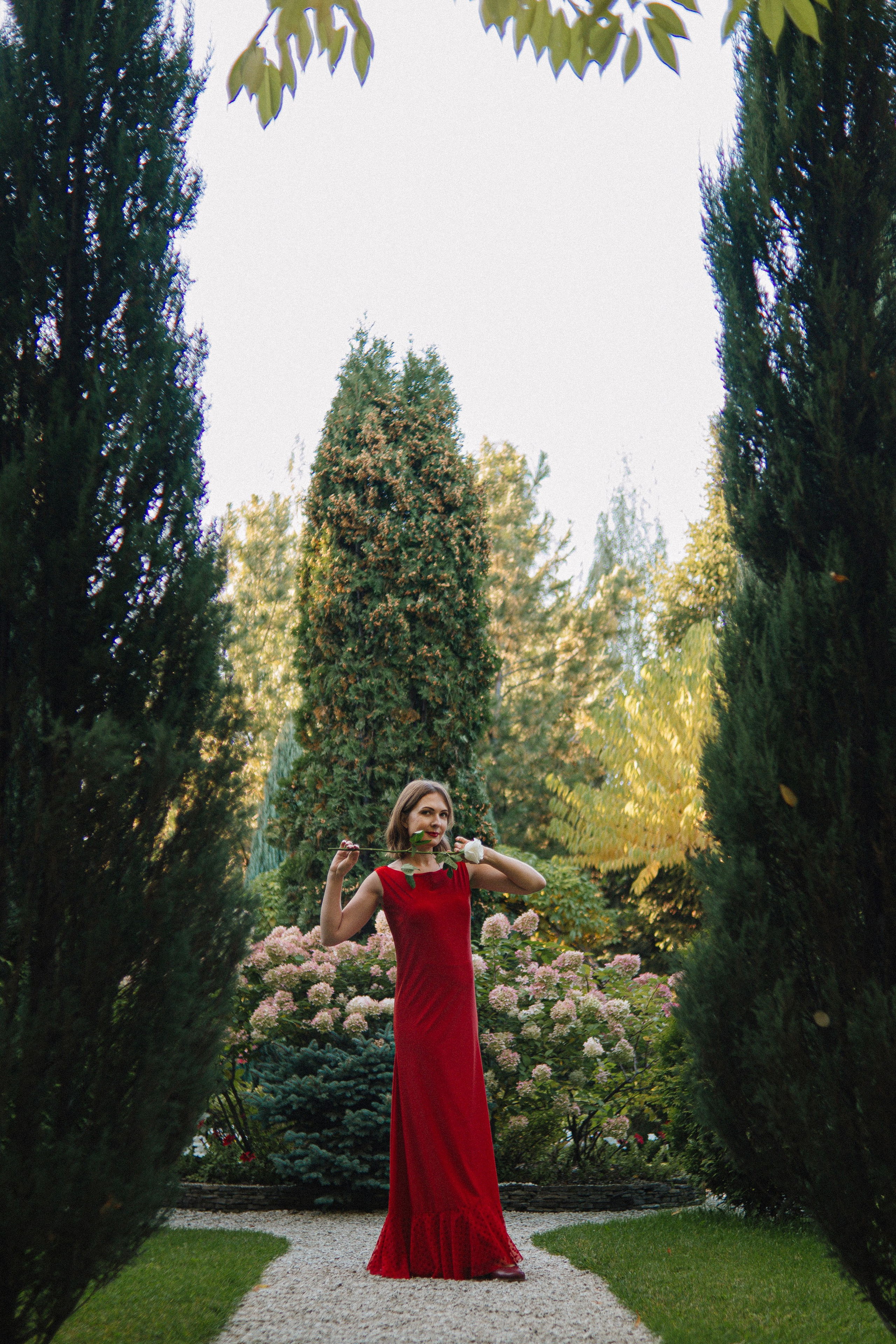 Девушка в красном платье среди высоких кипарисов дальний план