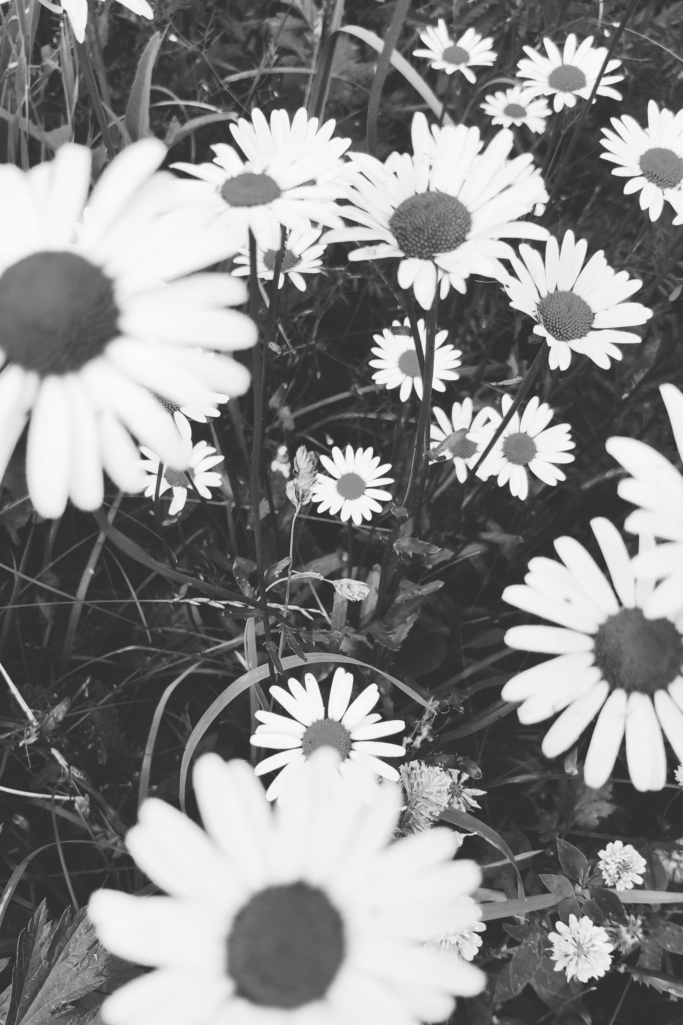 Автор: Екатерина Дмитриева