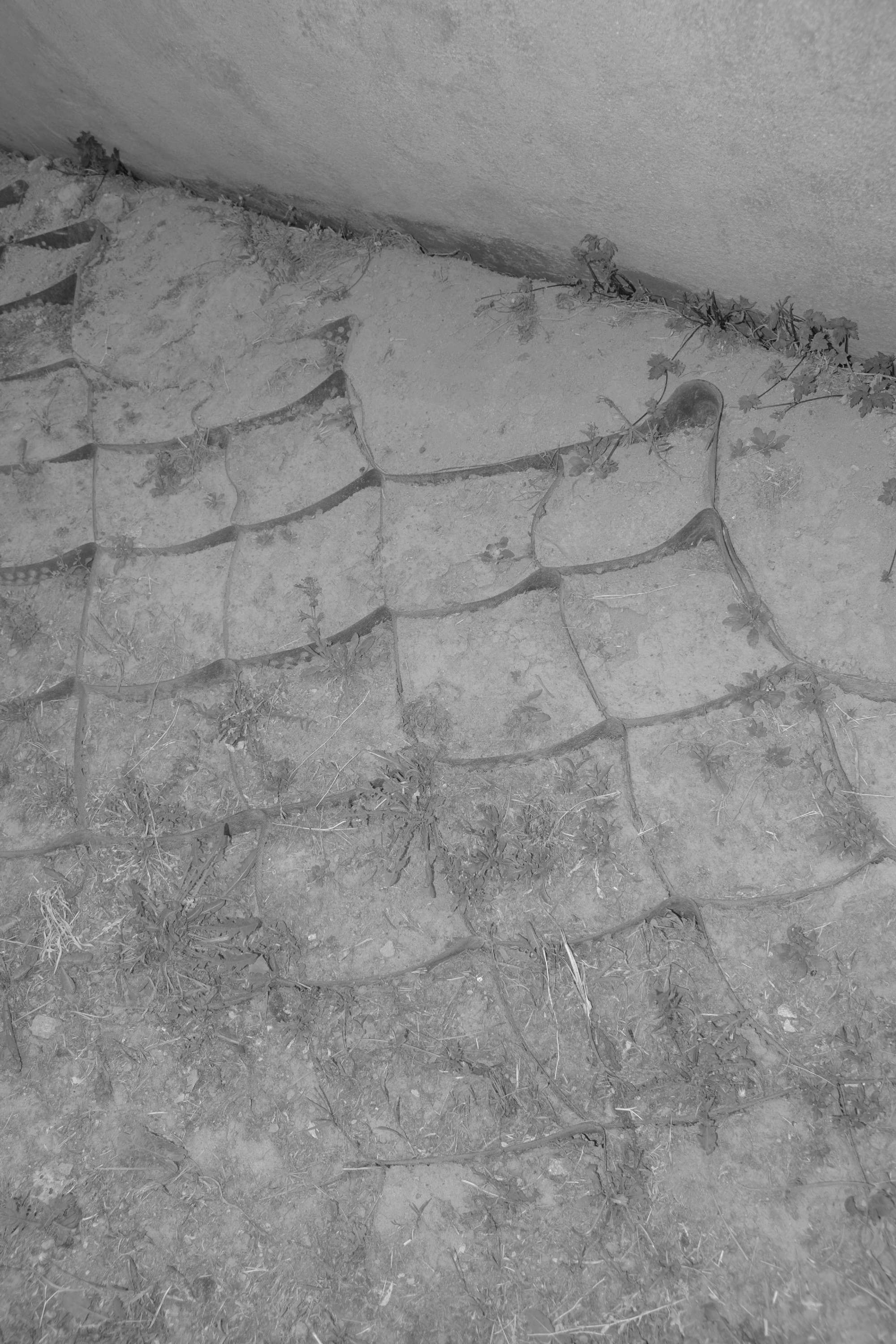 About fish. Maria Pilkevich