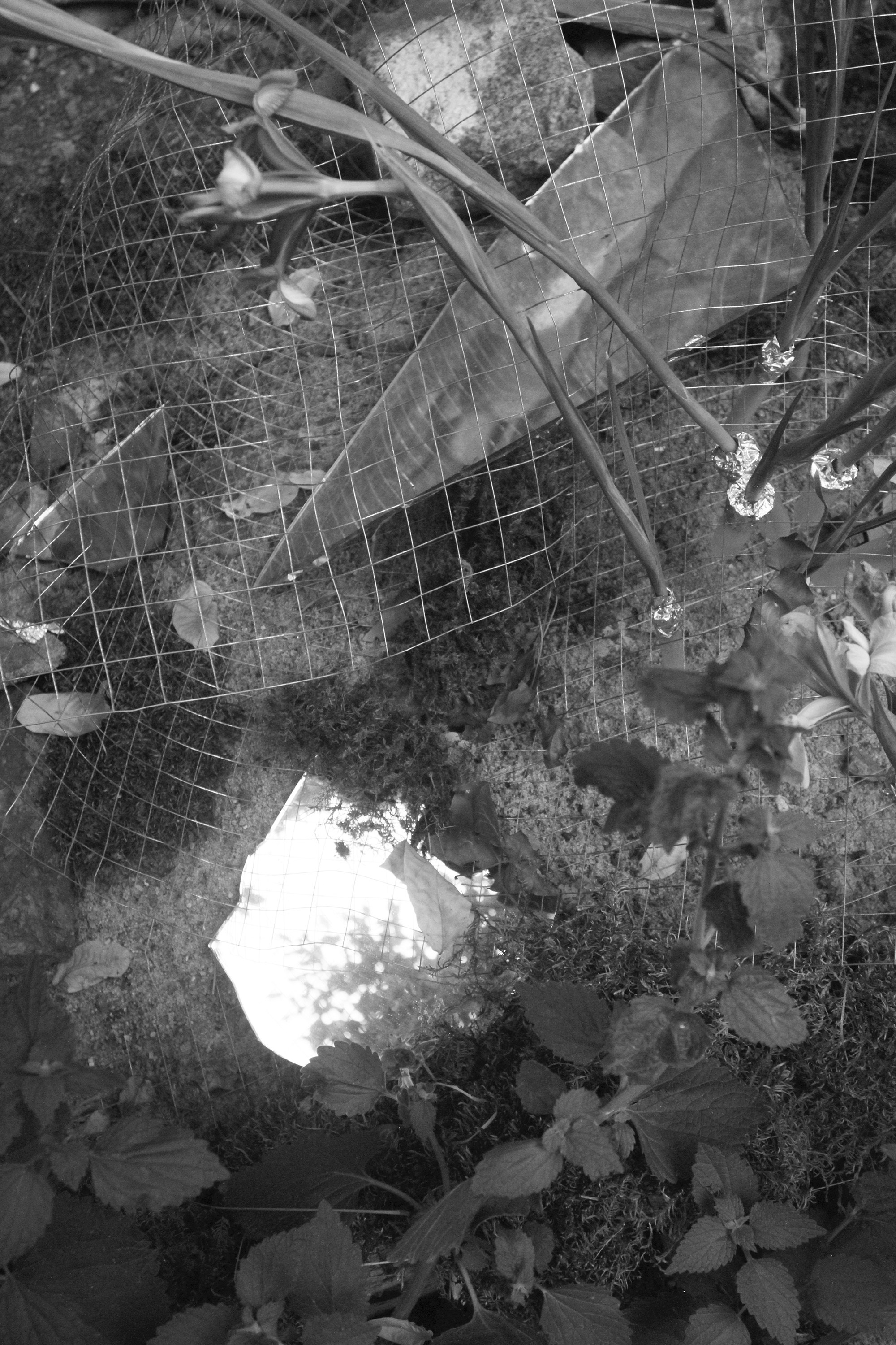 2025, UTOPIA group exhibition. KST