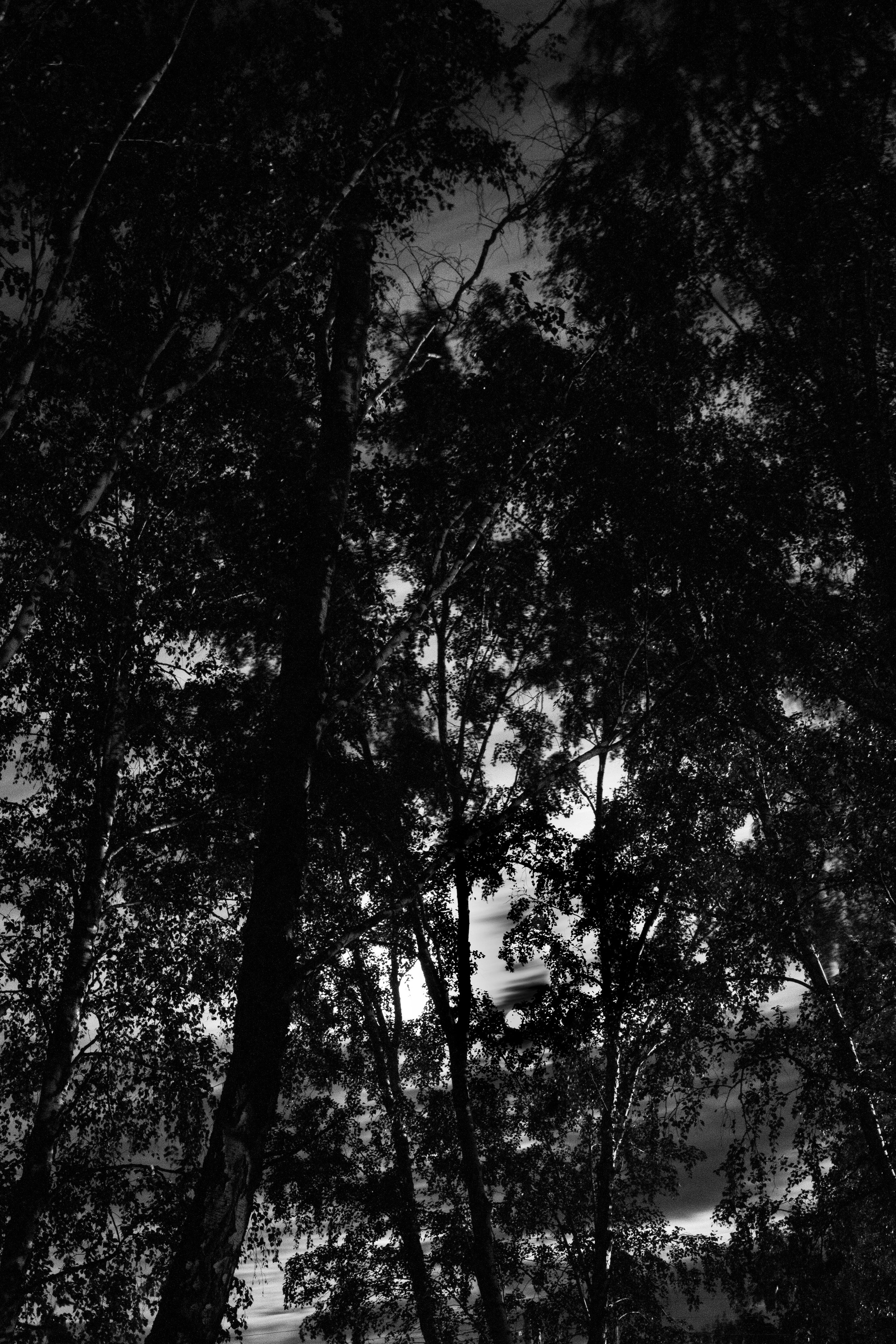 CRADLE. YAKUBOVICH EVA PHOTOGRAHER