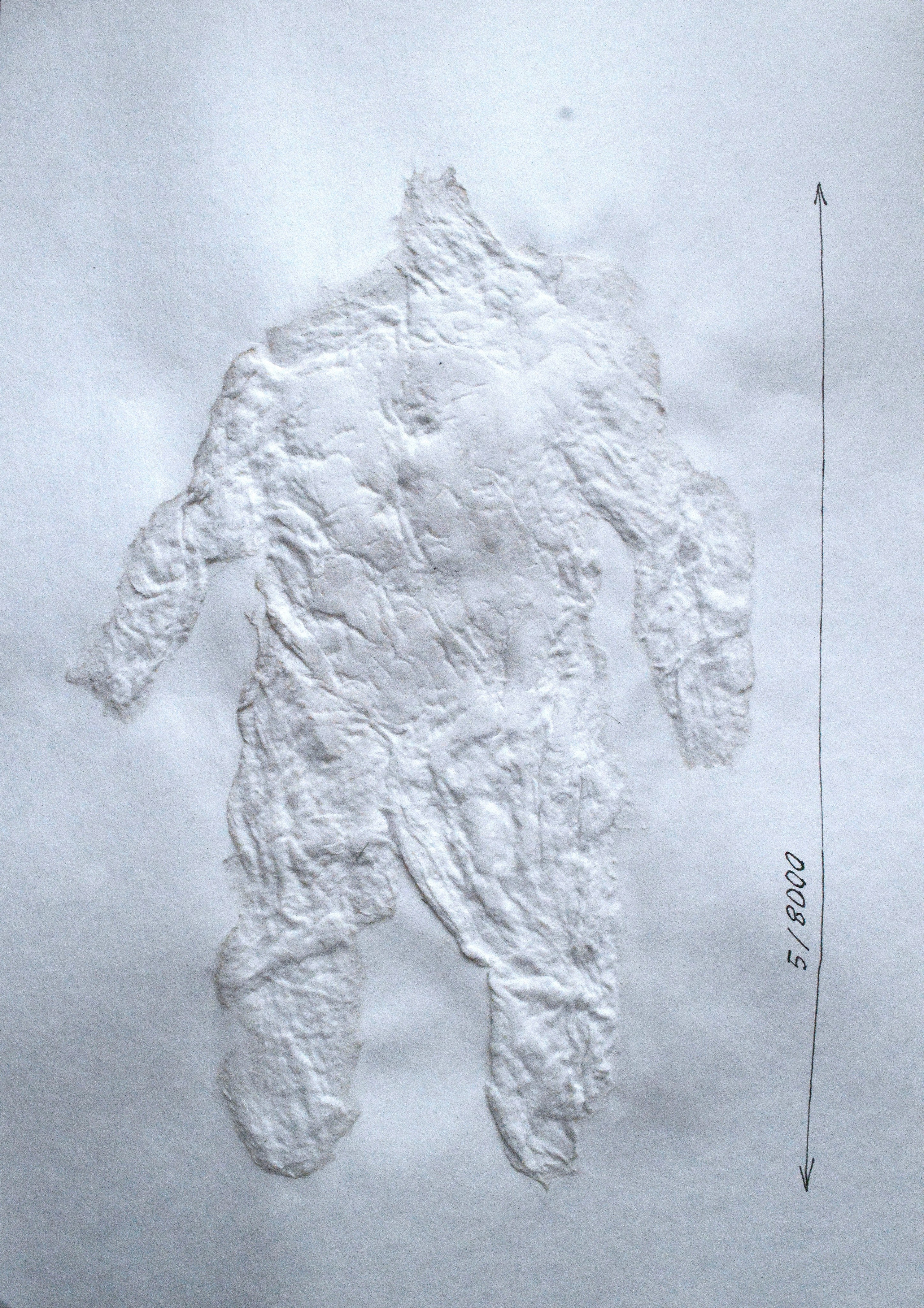 8000. 2025. Лилия Ким. Междисциплинарный художник