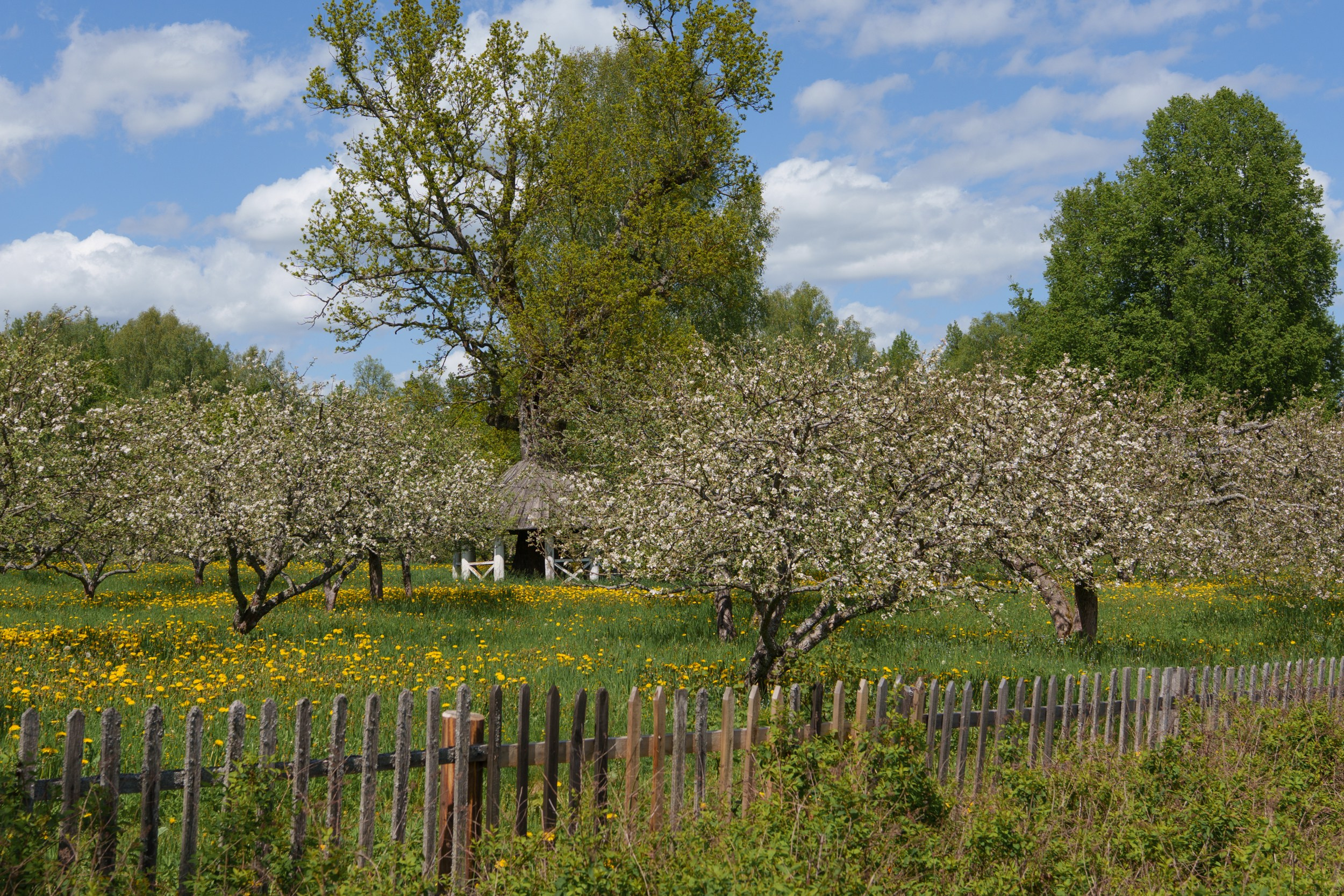 Gardens in Trigorskoye