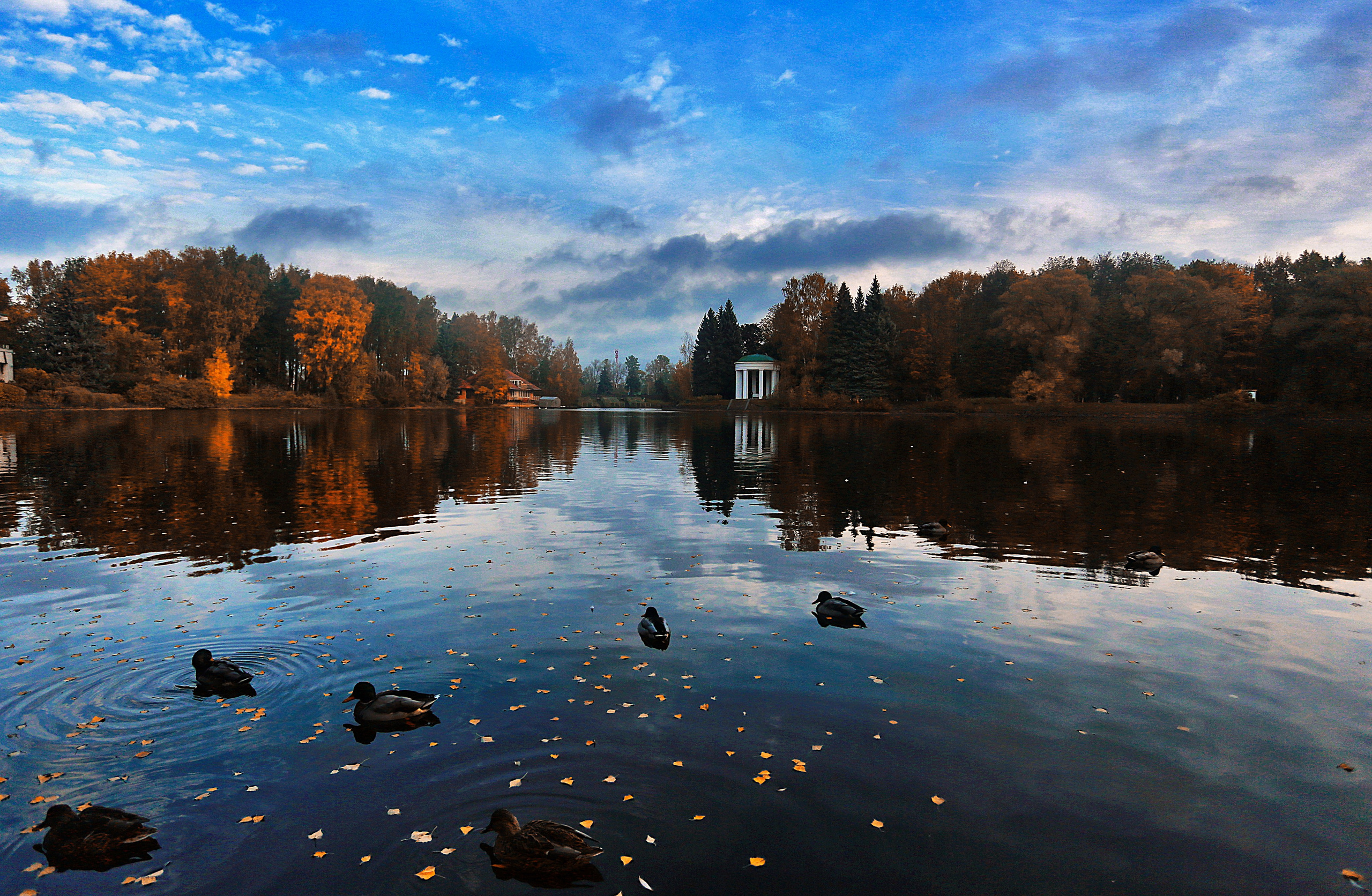 Фотошкола и фотокурсы в Абакане