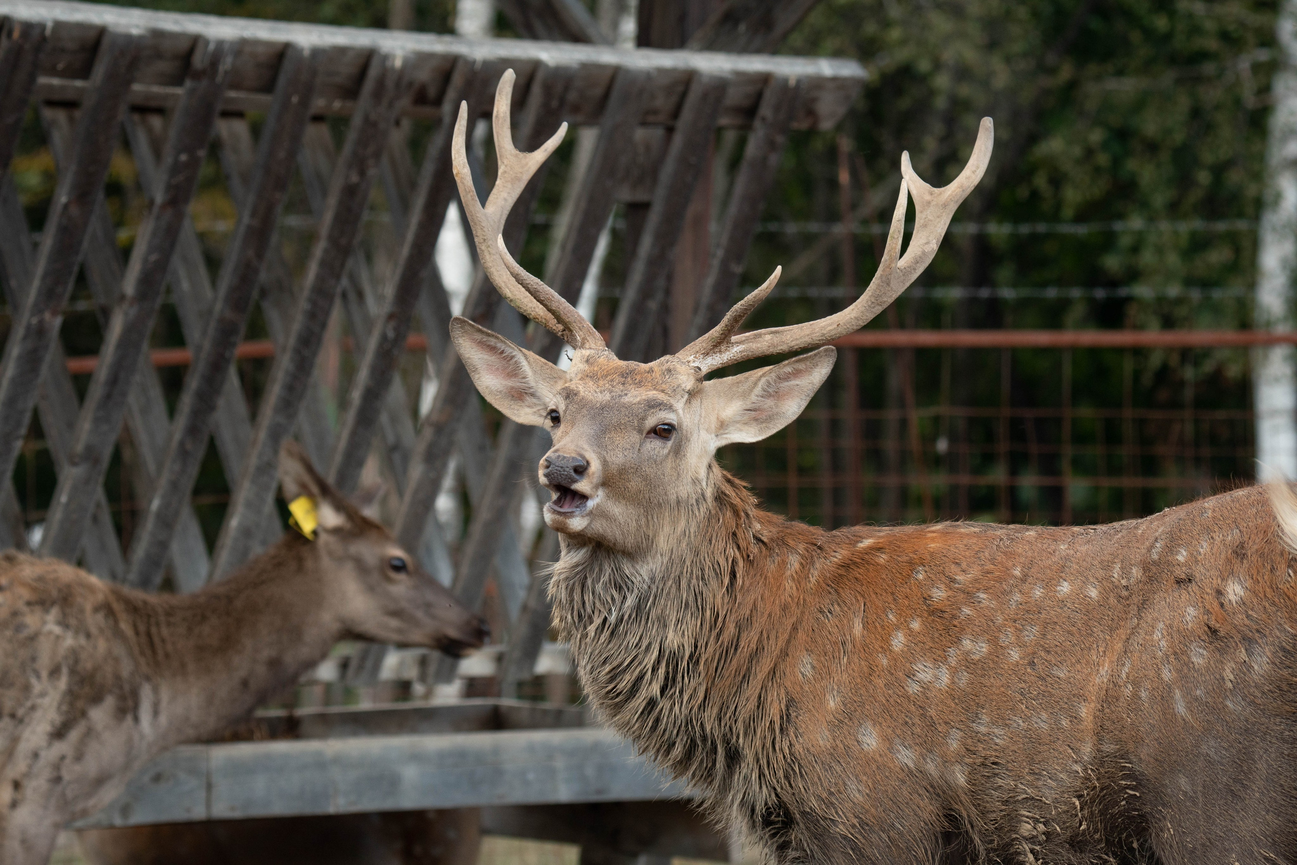 Проекты. Gusarov Travel Photography